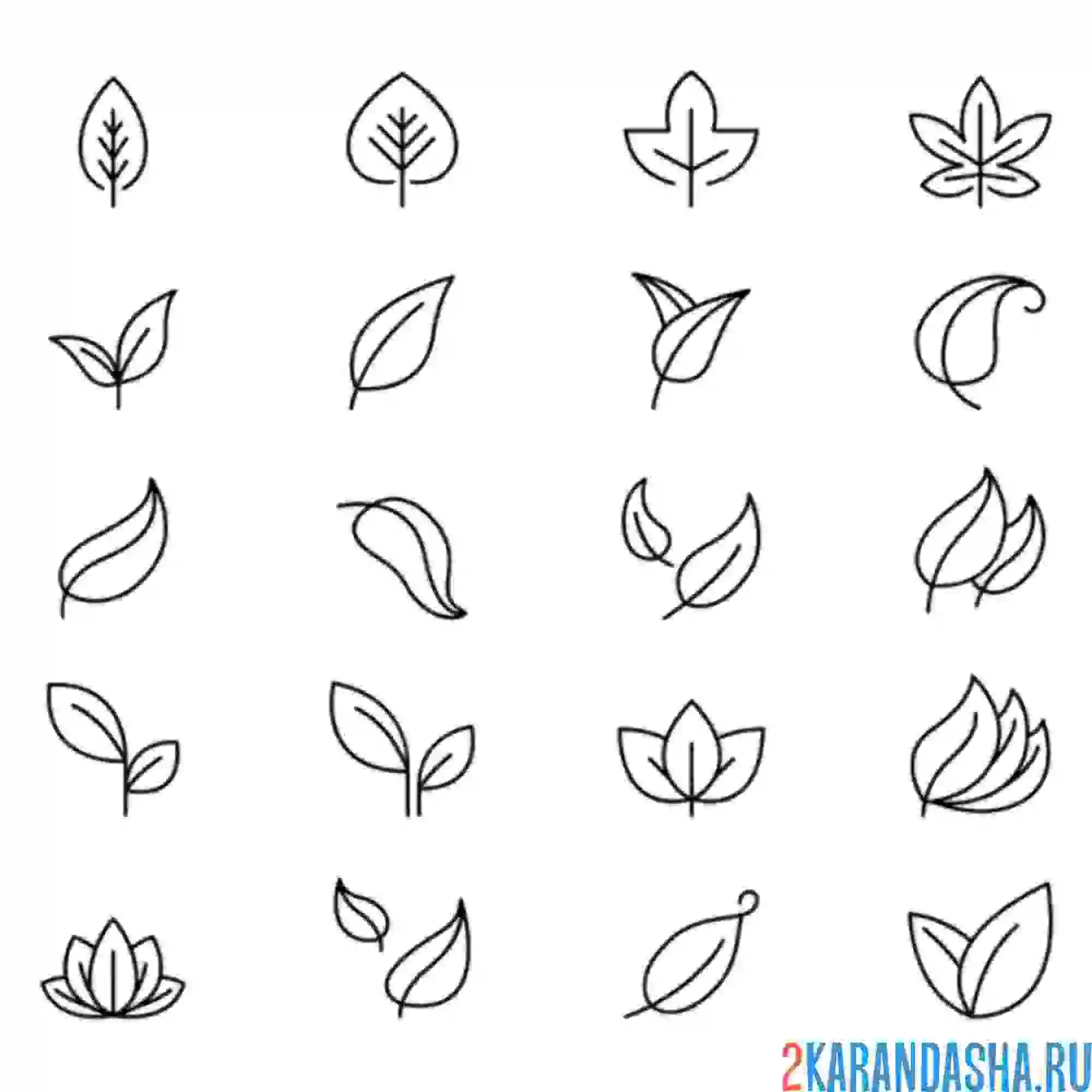 Раскраска иконки много листьев