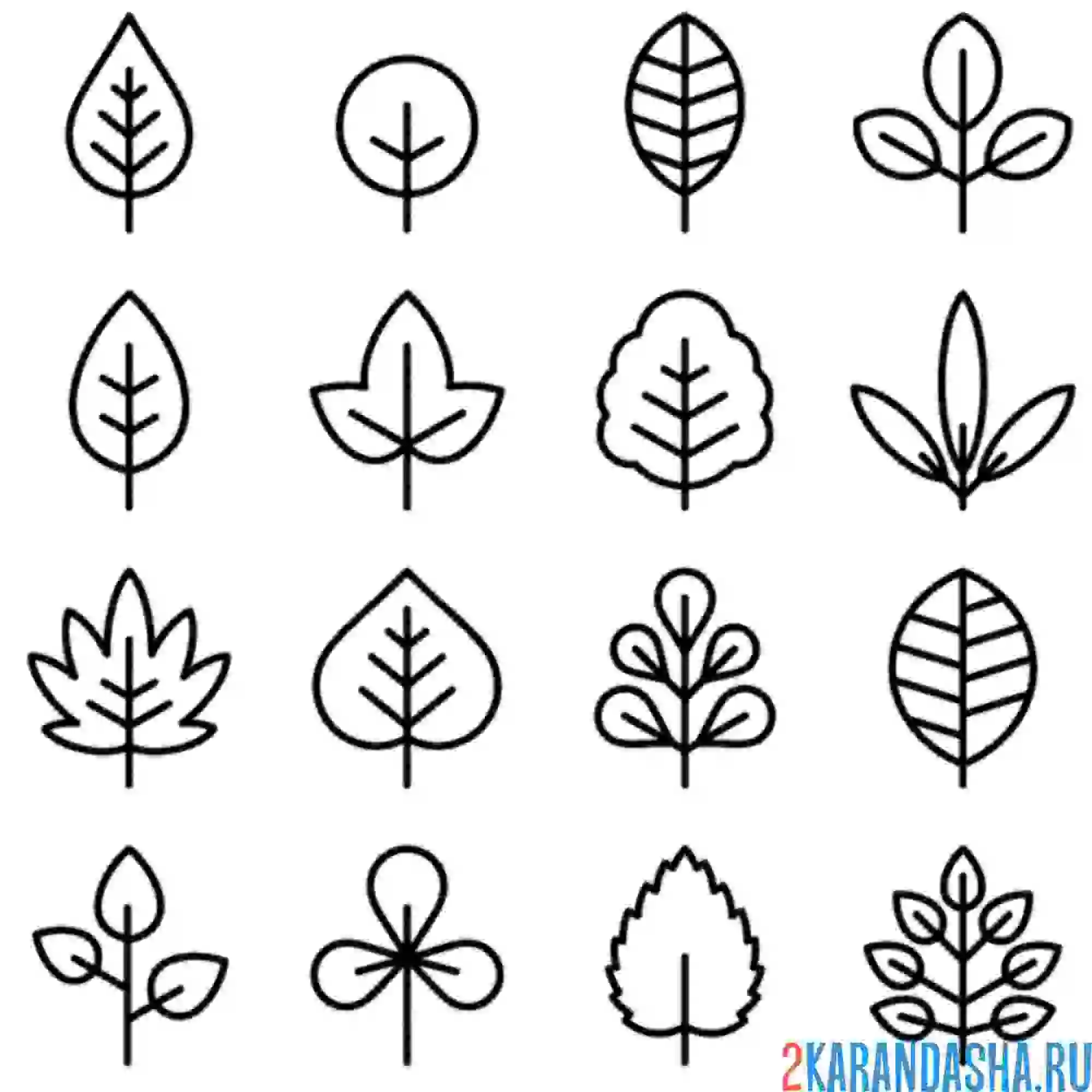 Раскраска иконки разных листьев