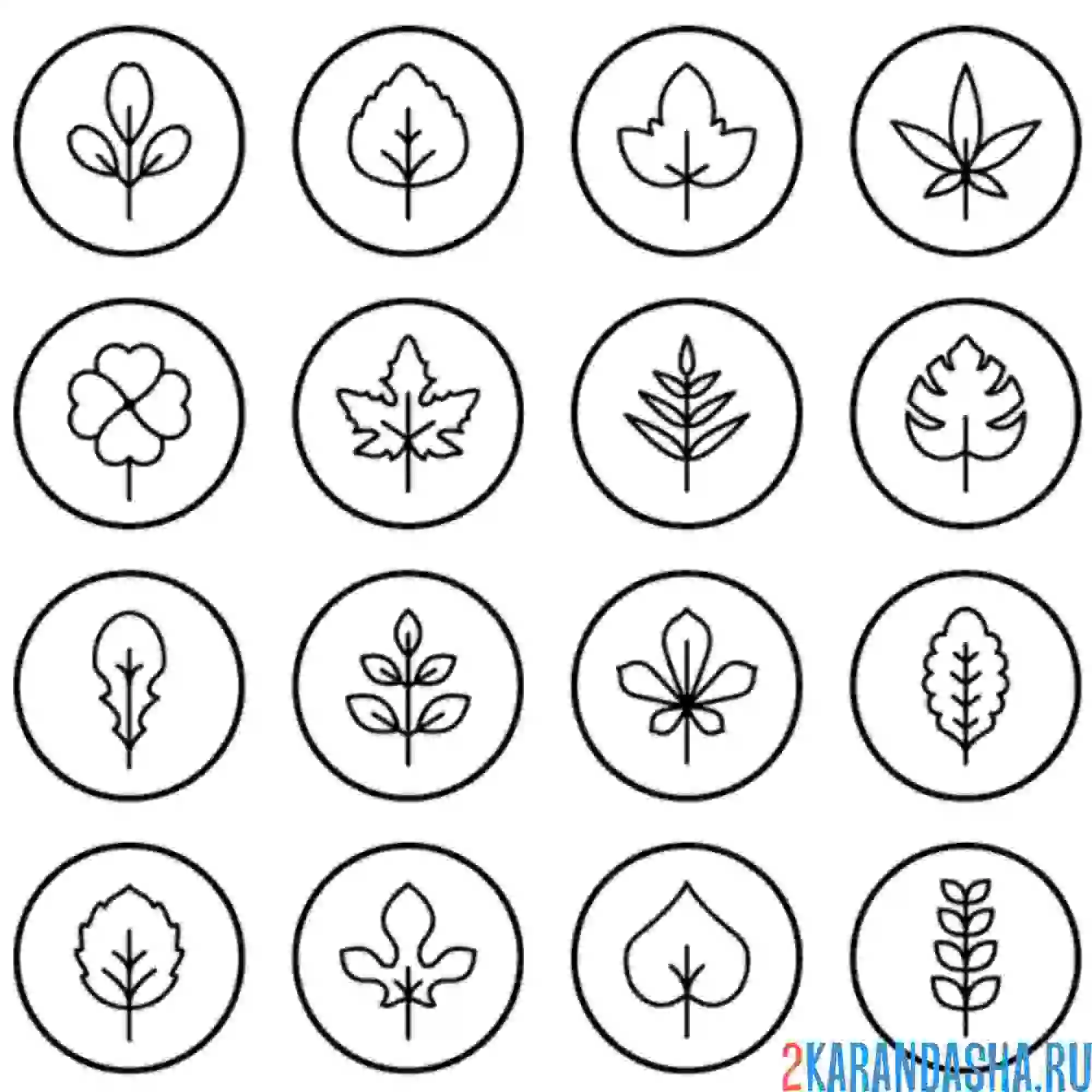 Раскраска миниатюра листьев