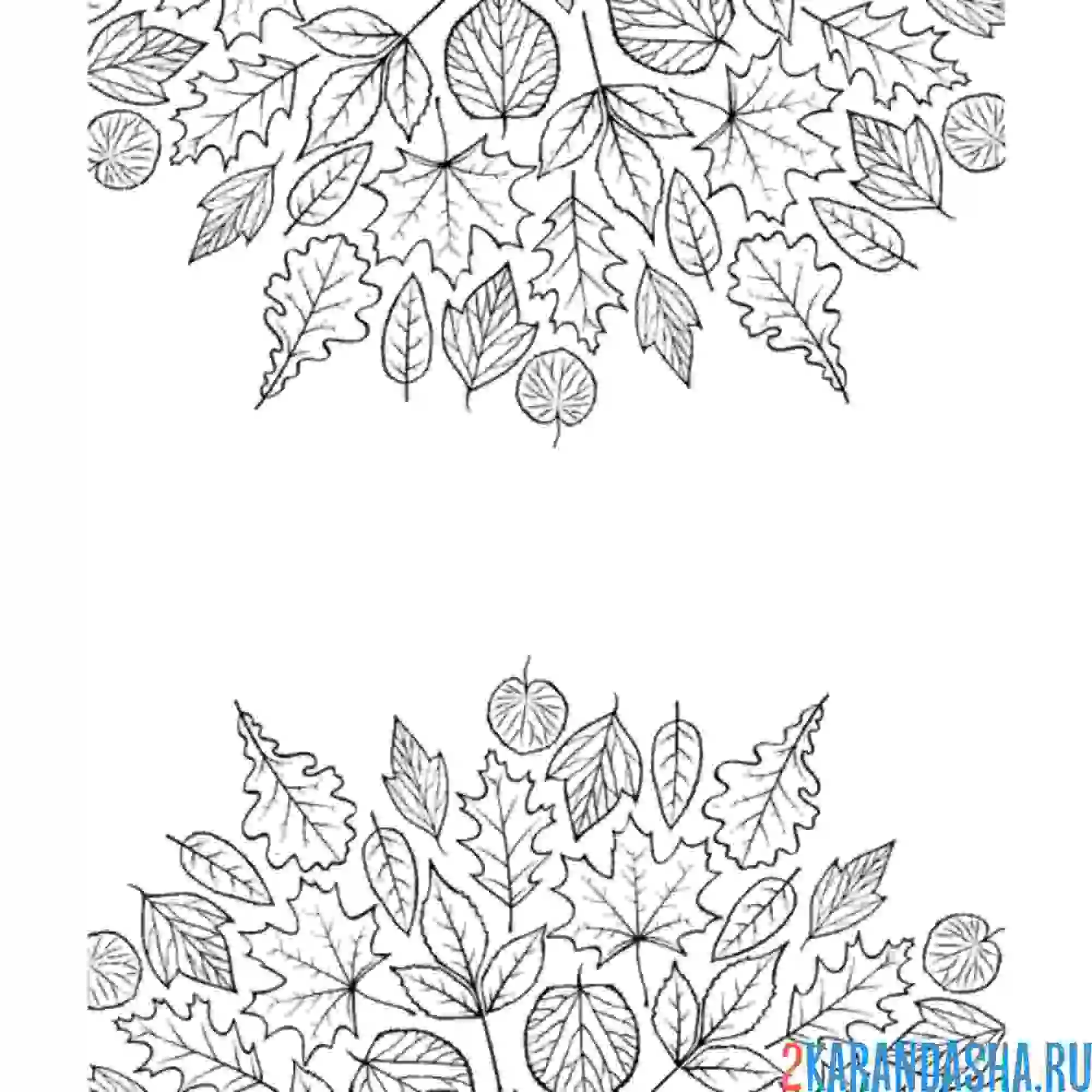 Раскраска листья для фантазии