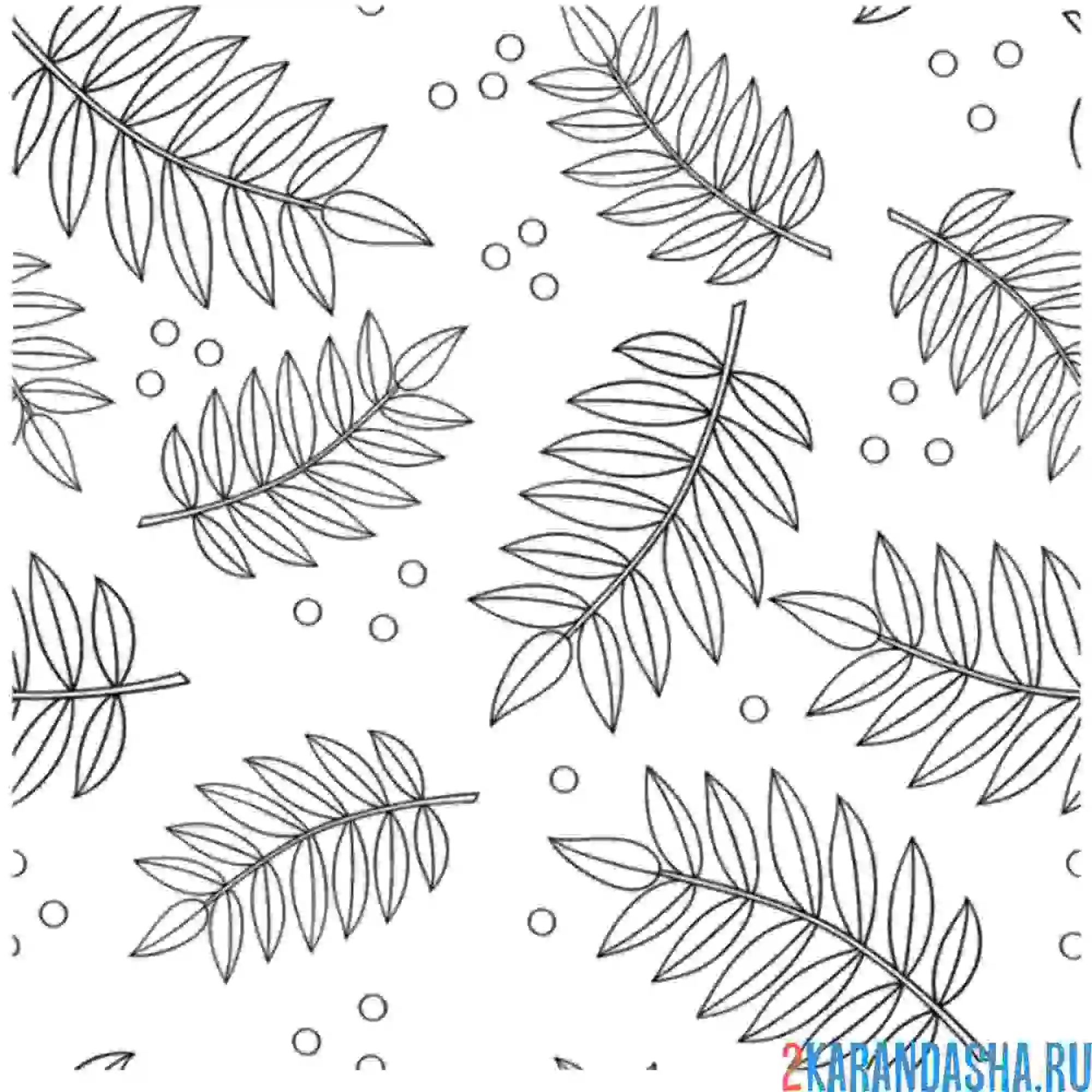 Раскраска листочки рябины