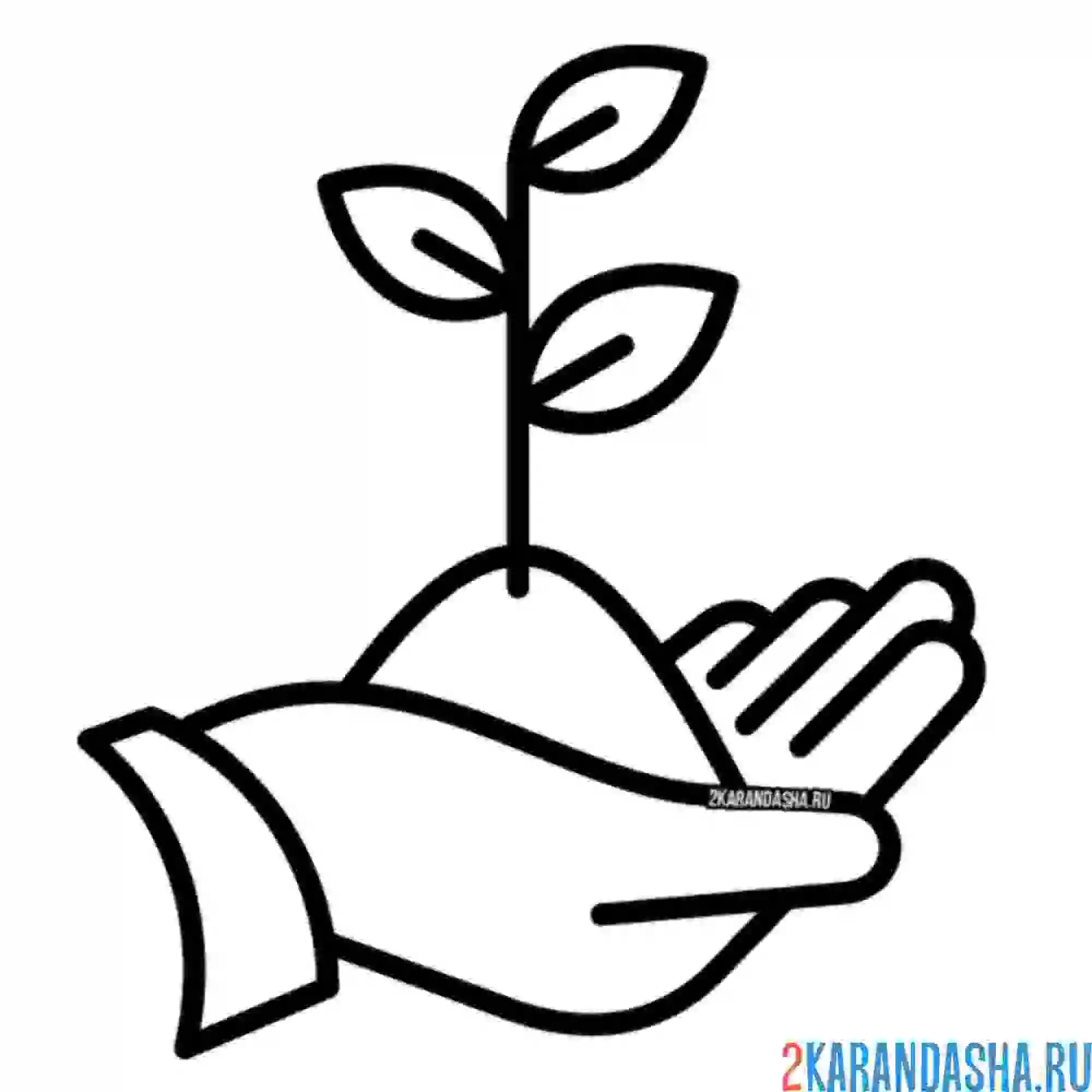 Раскраска берегите листья