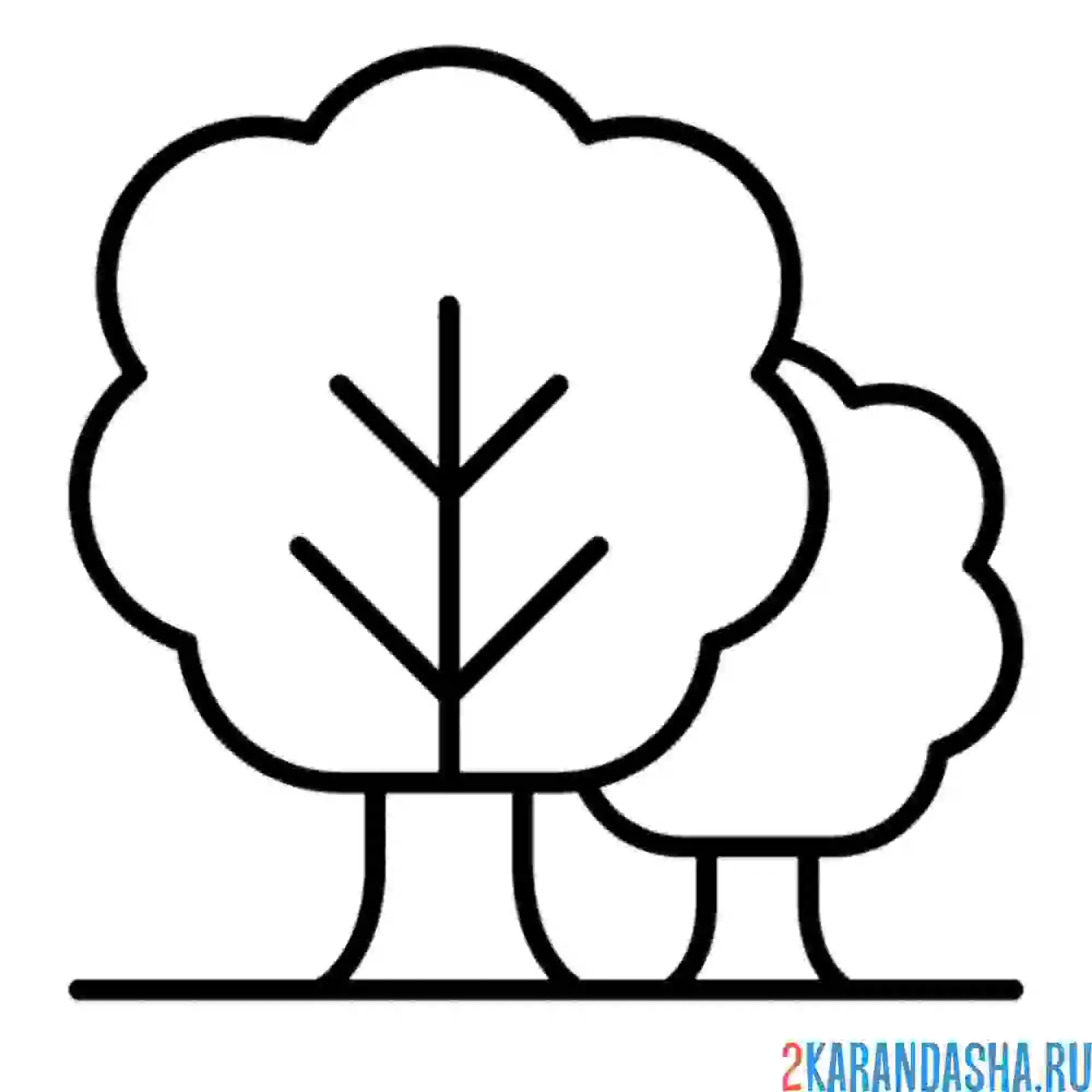 Раскраска два деревца