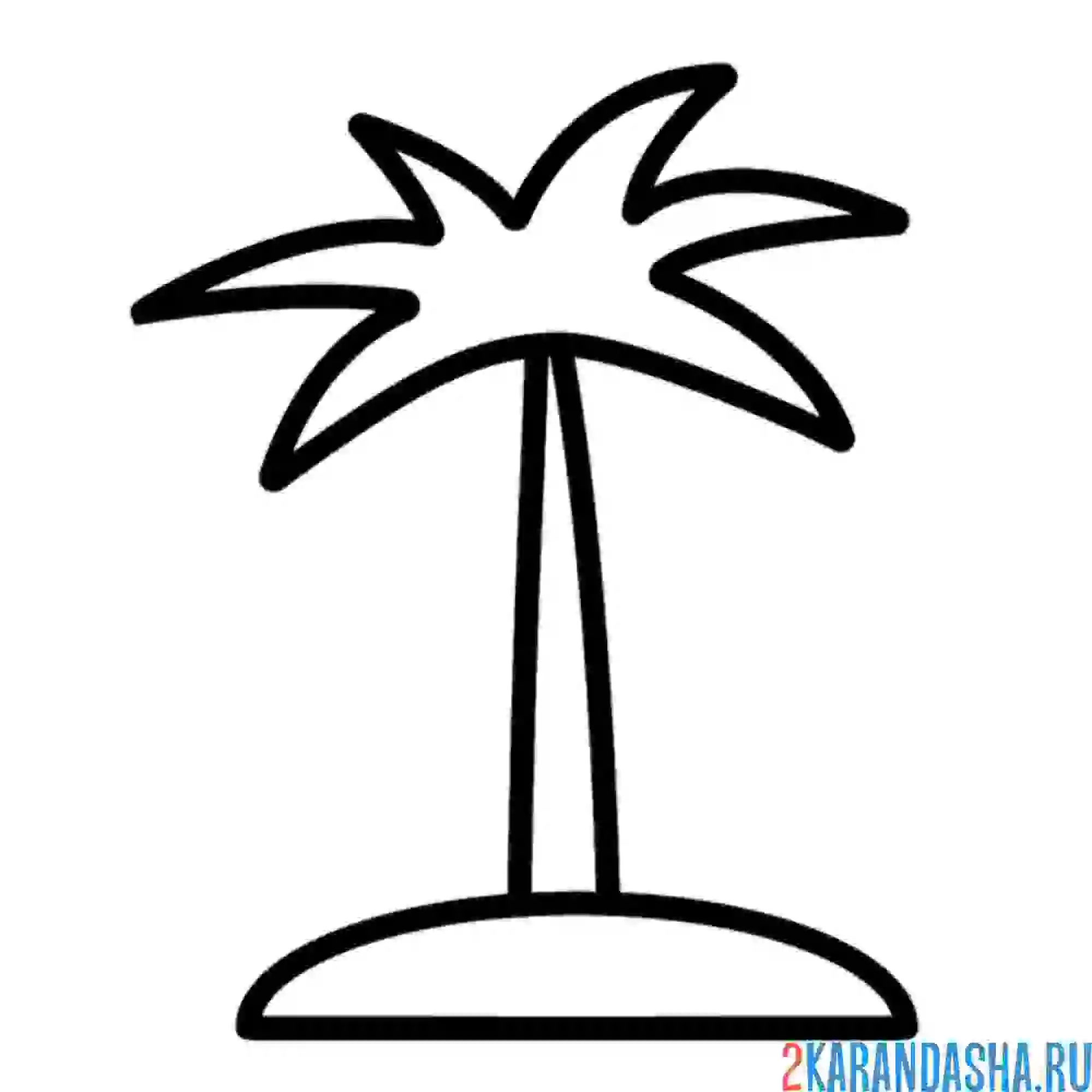 Раскраска пальма дерево