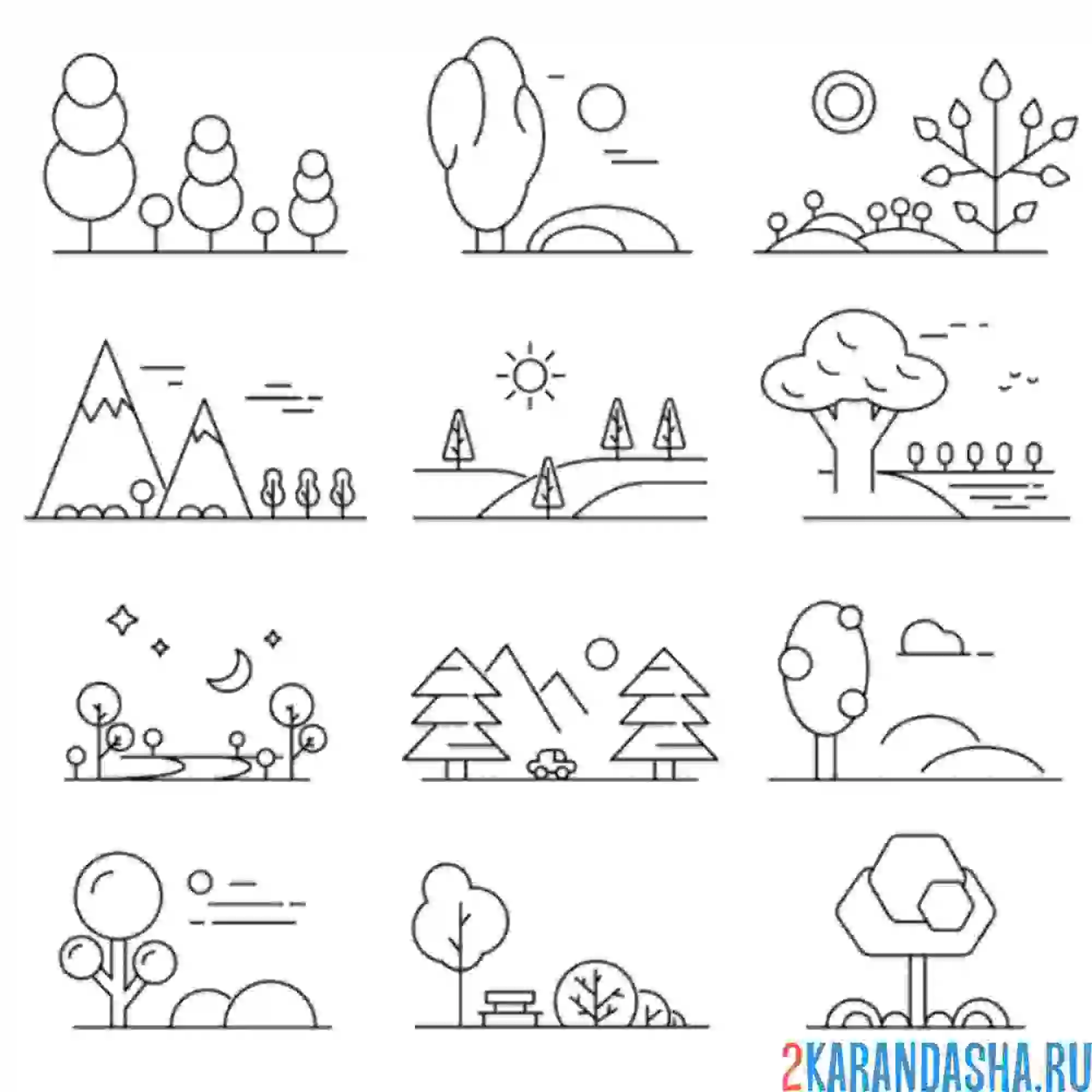 Раскраска разные деревья