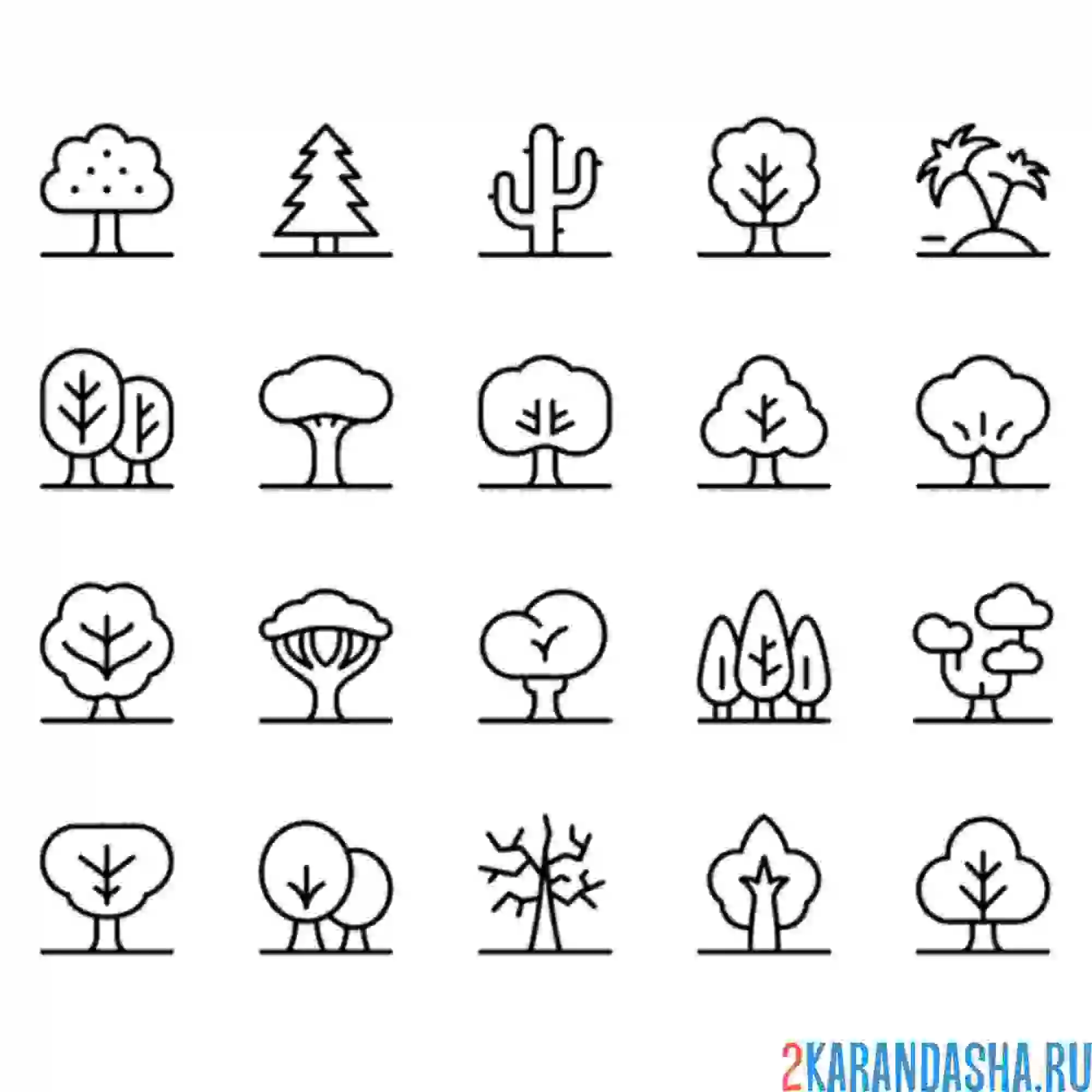 Раскраска много разных деревеьв