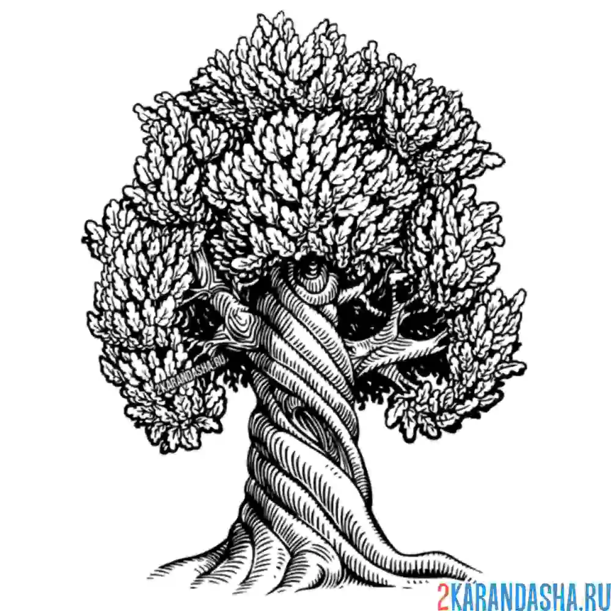 Раскраска необычный ствол у дерева