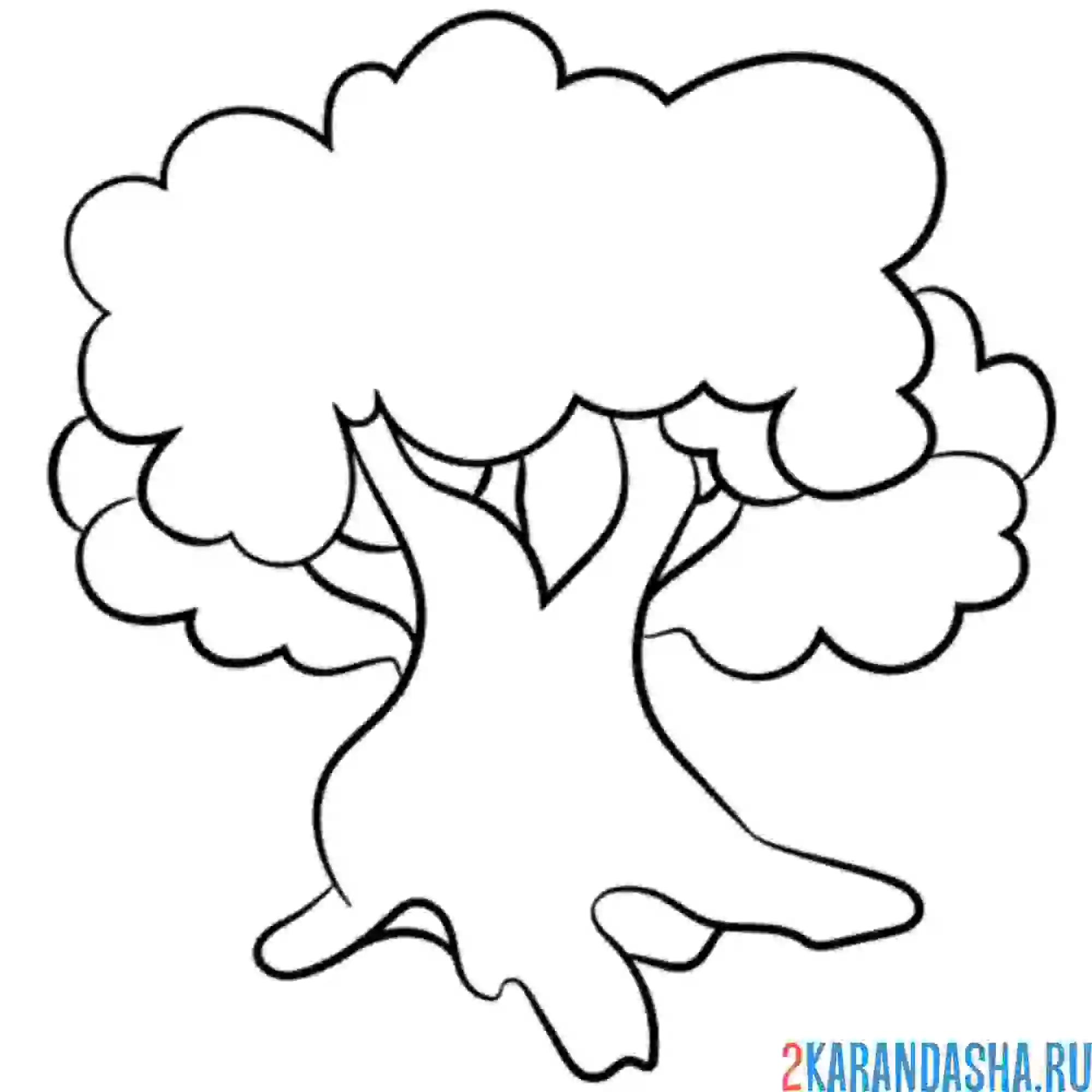 Раскраска дуб дерево