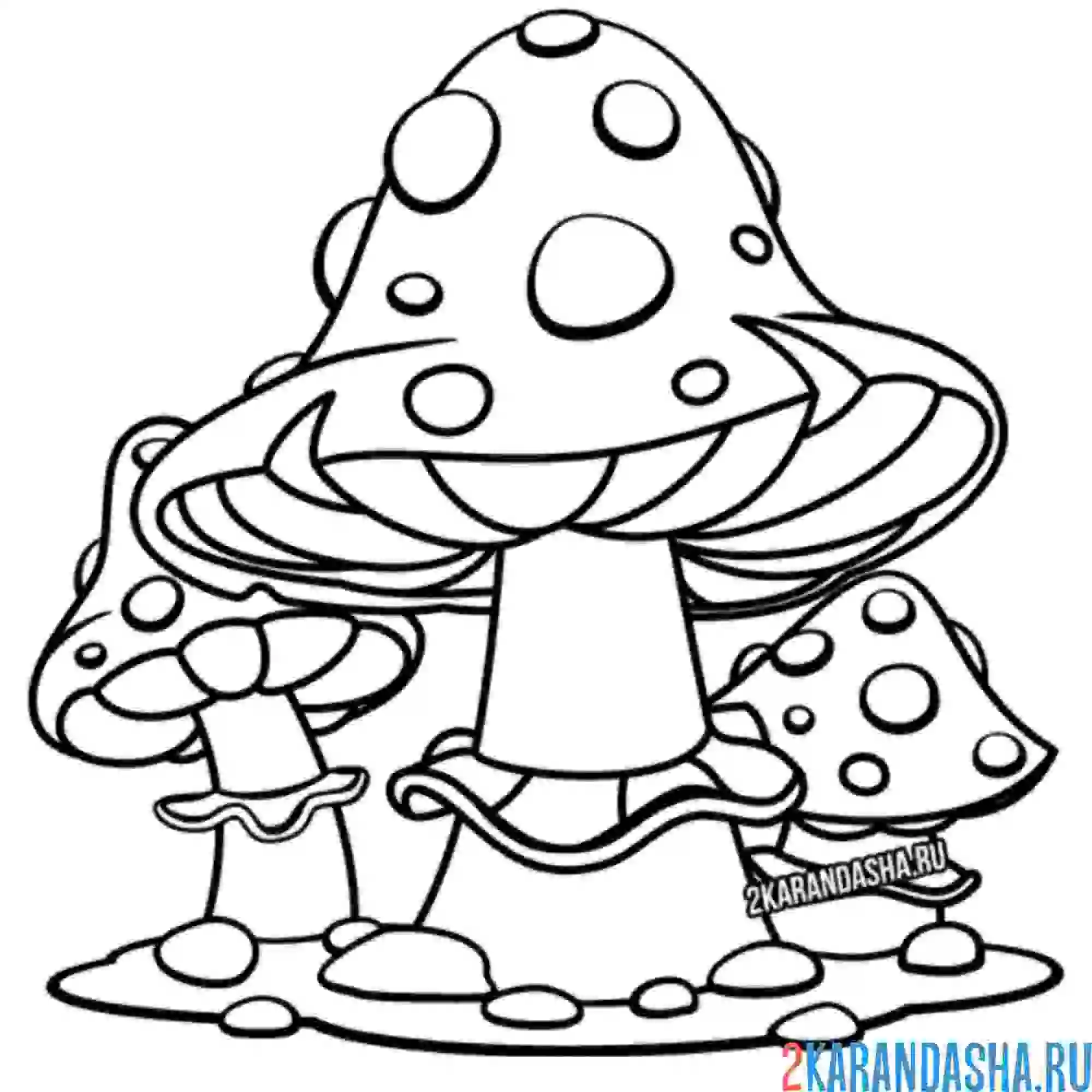 Раскраска три гриба рядом