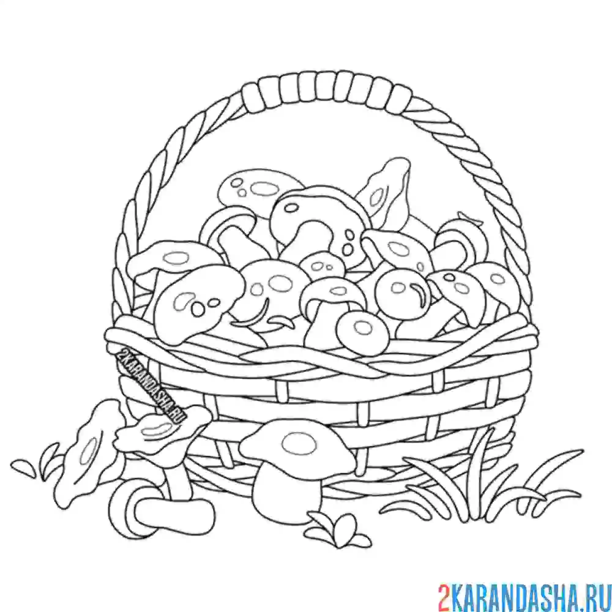 Раскраска лукошко корзинка грибов