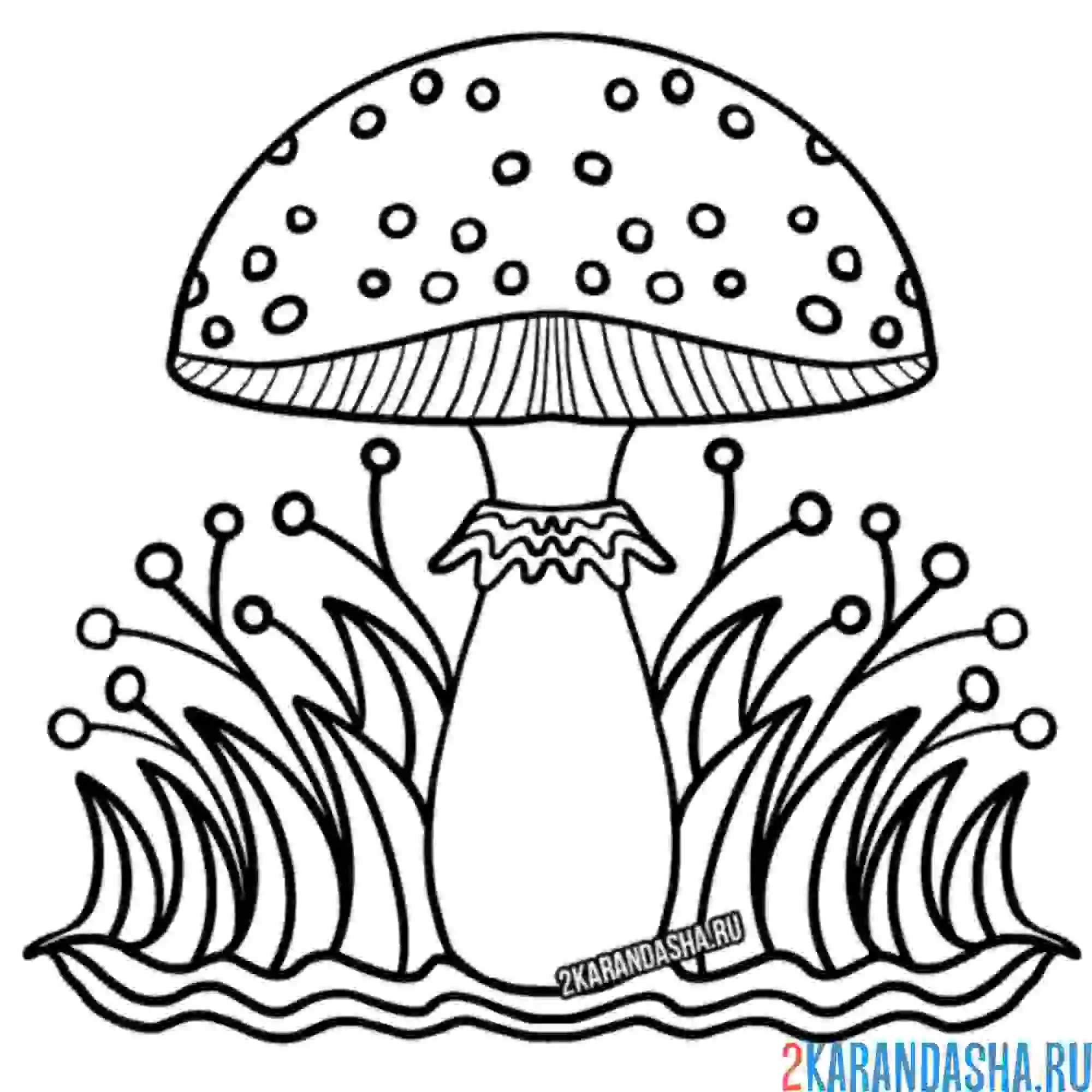 Раскраска рисунок гриба
