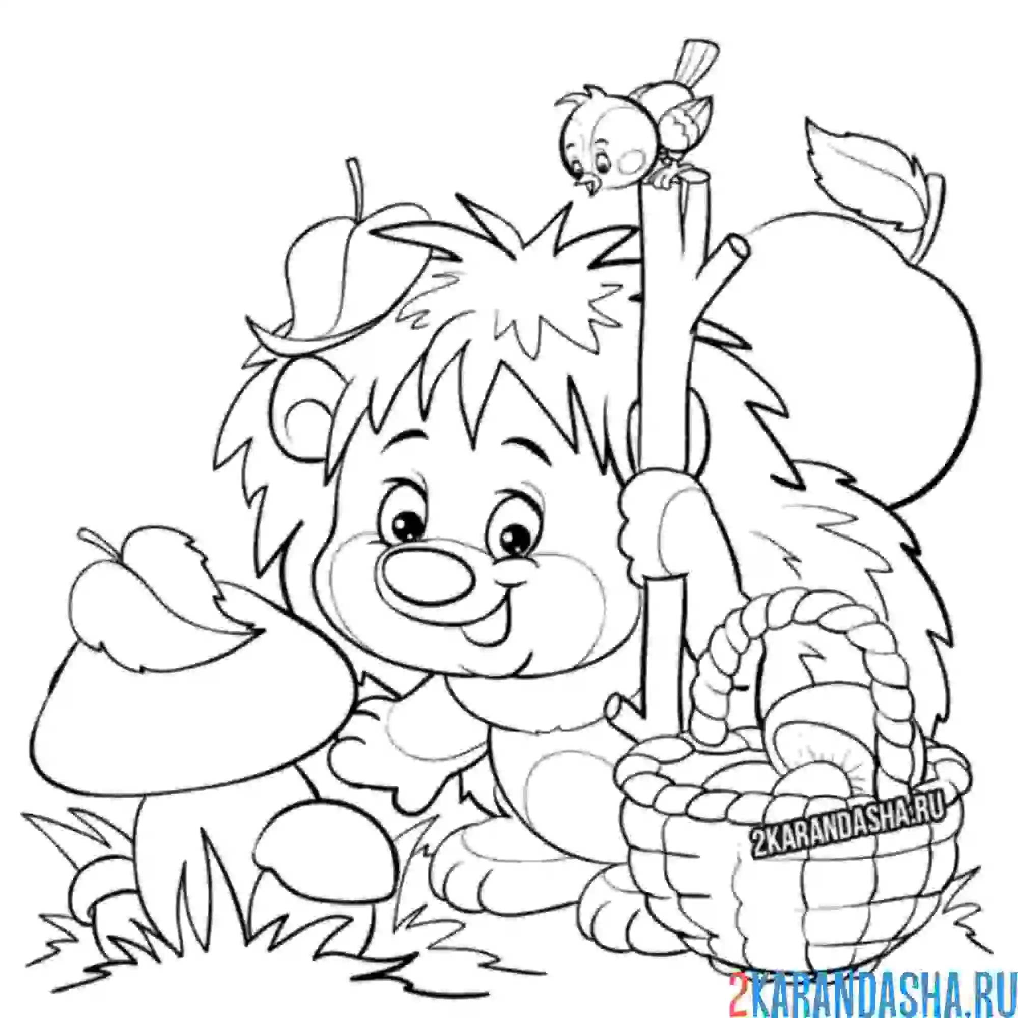 Раскраска ежик с грибами в лесу