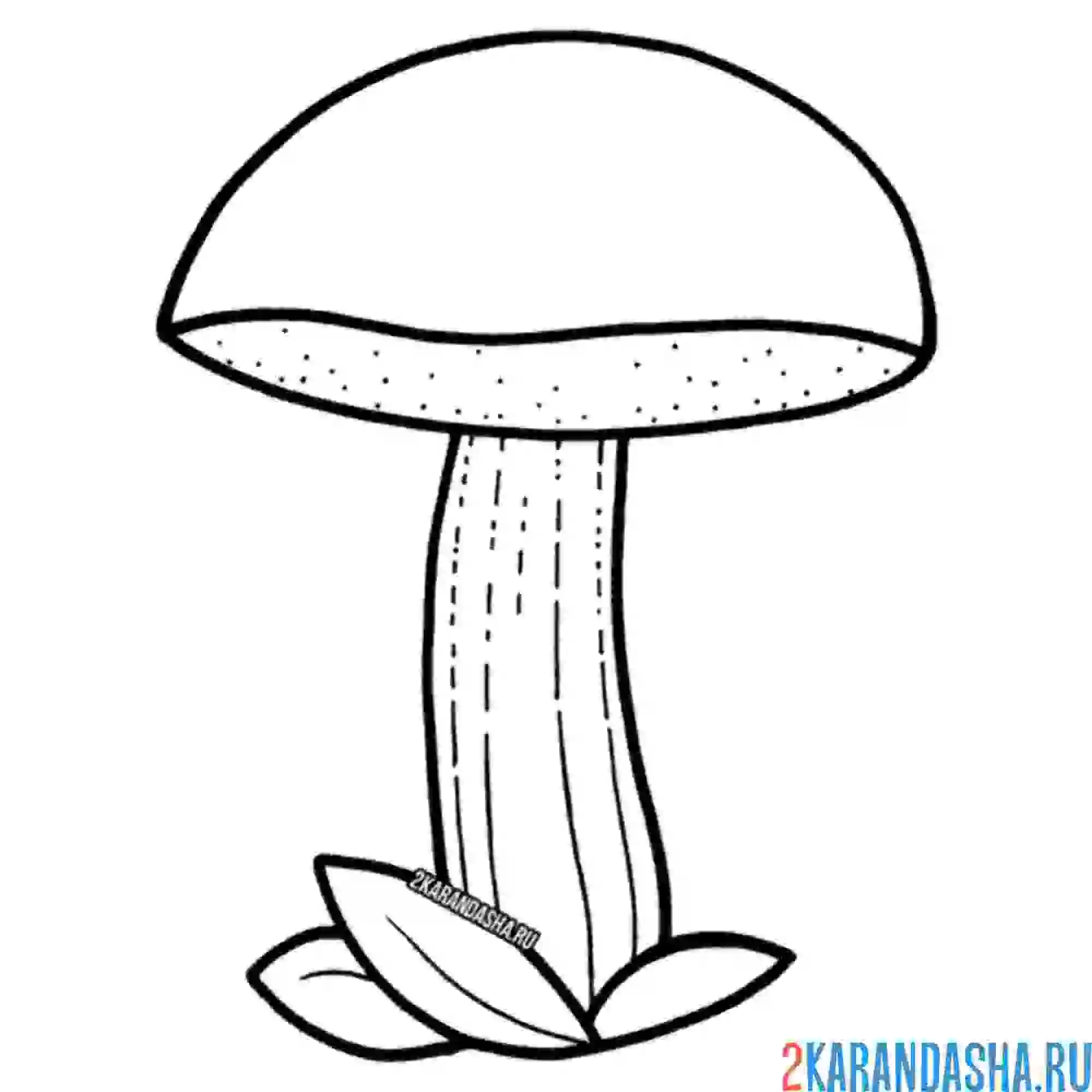 Раскраска дубовик гриб