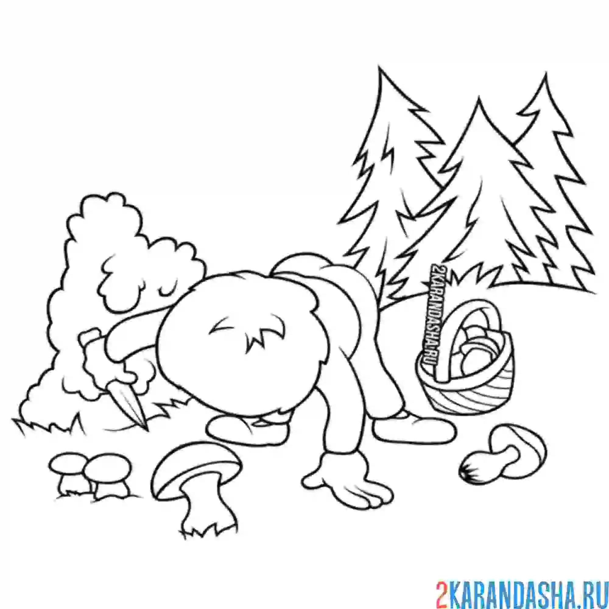 Раскраска человек собирает грибы