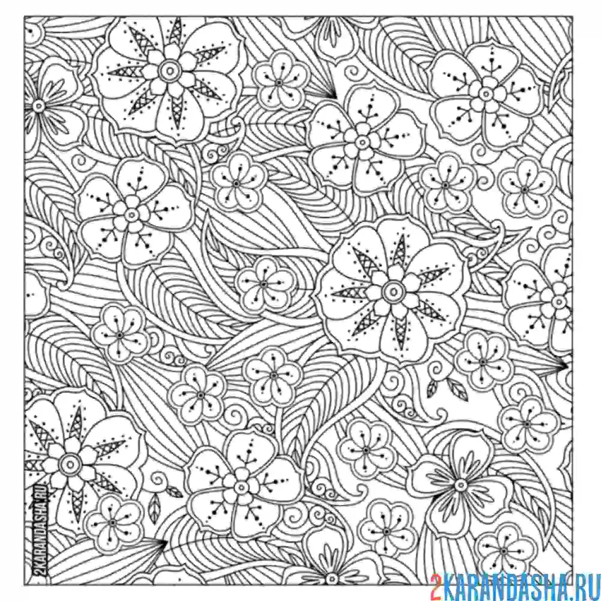 Раскраска узоры цветы влюбленной