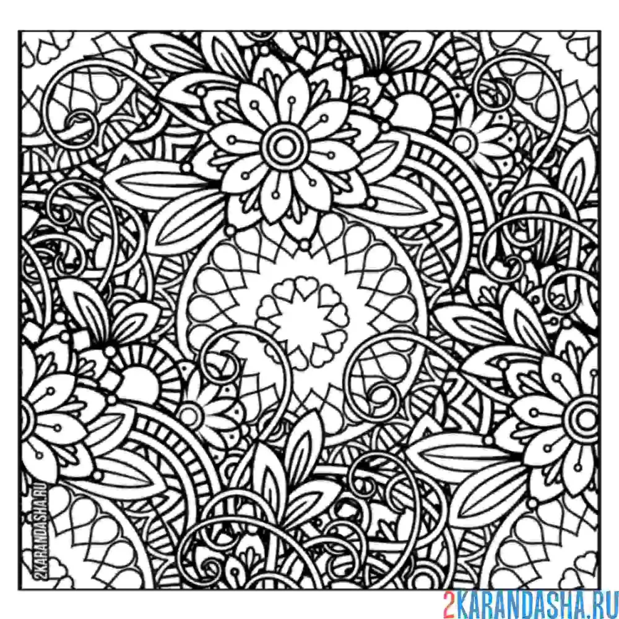Раскраска узоры цветы и листья