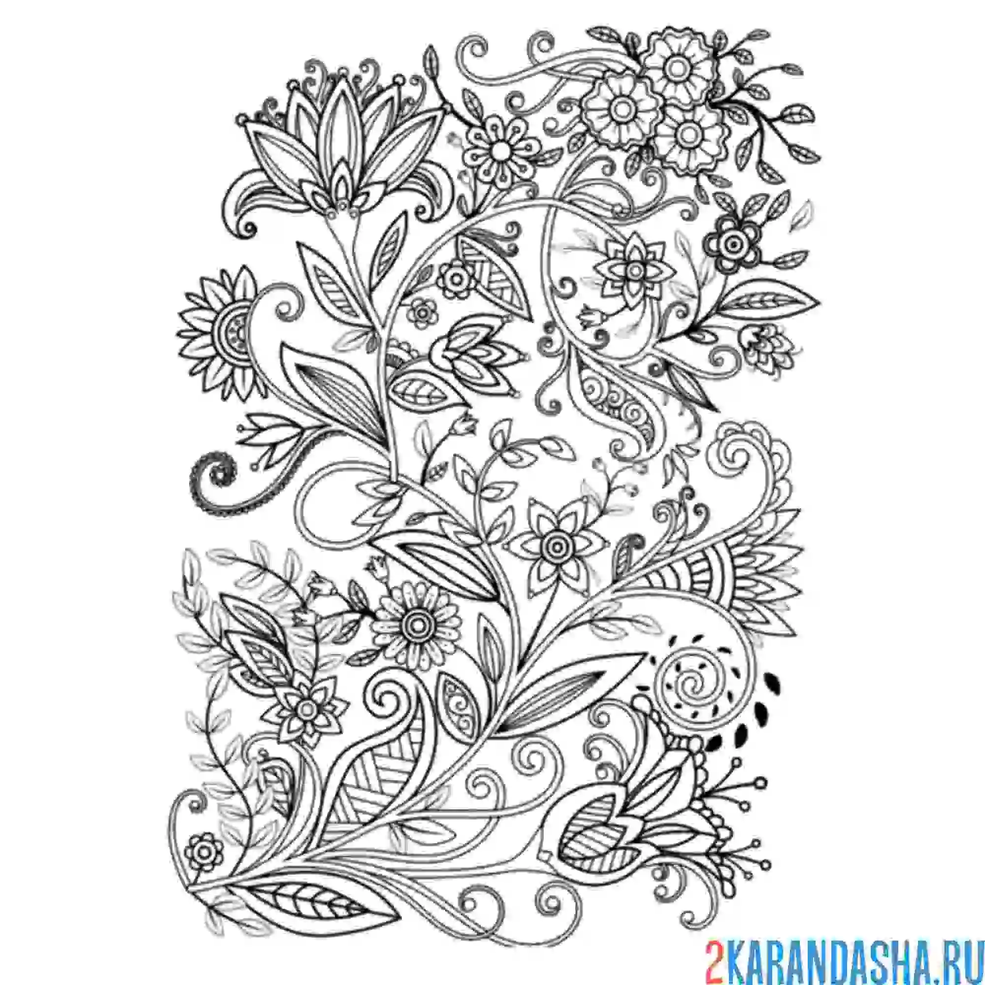 Раскраска дикая природа узор