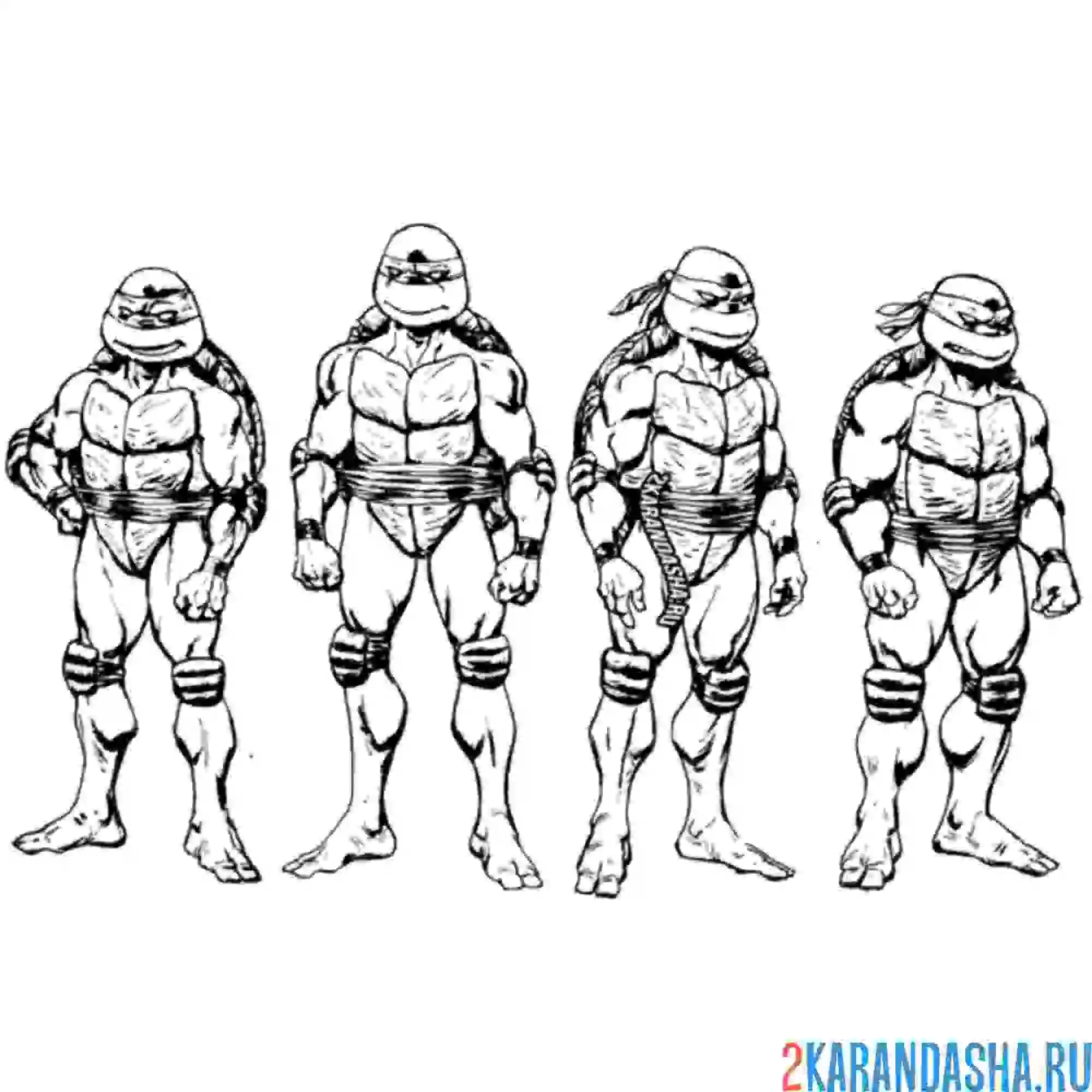 Раскраска все в сборе черепашки-ниндзя