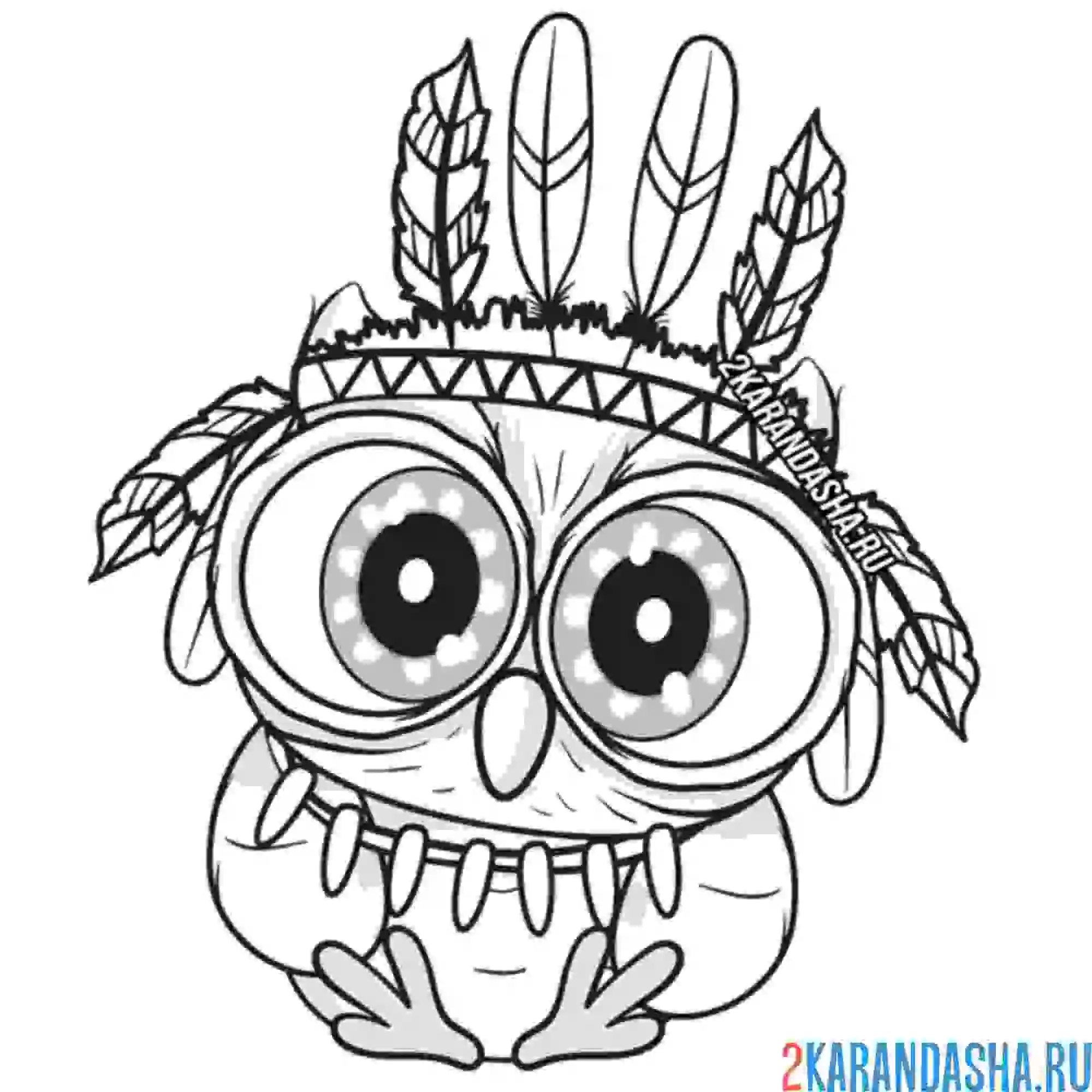 Раскраска сова-индеец