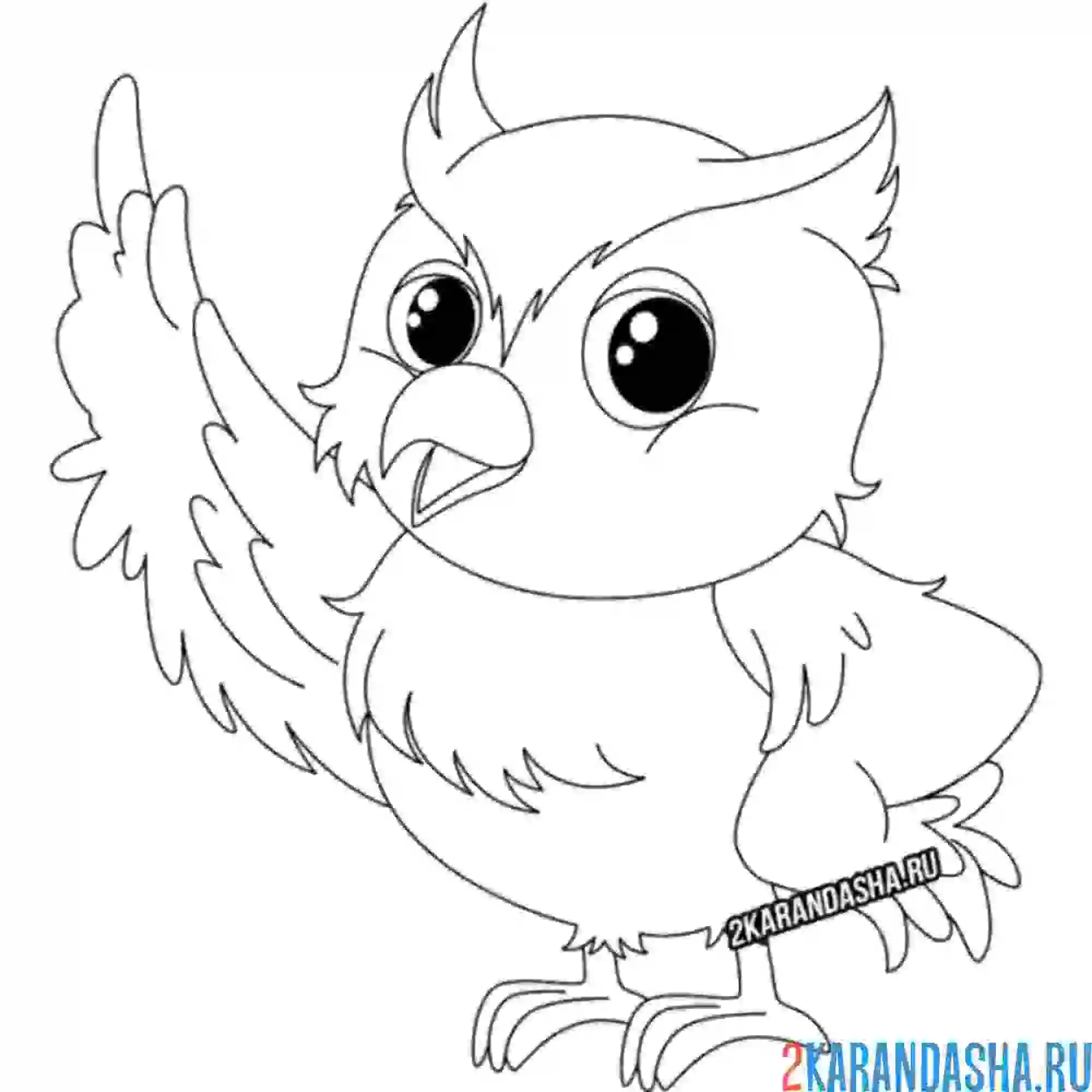 Раскраска филин размышляет