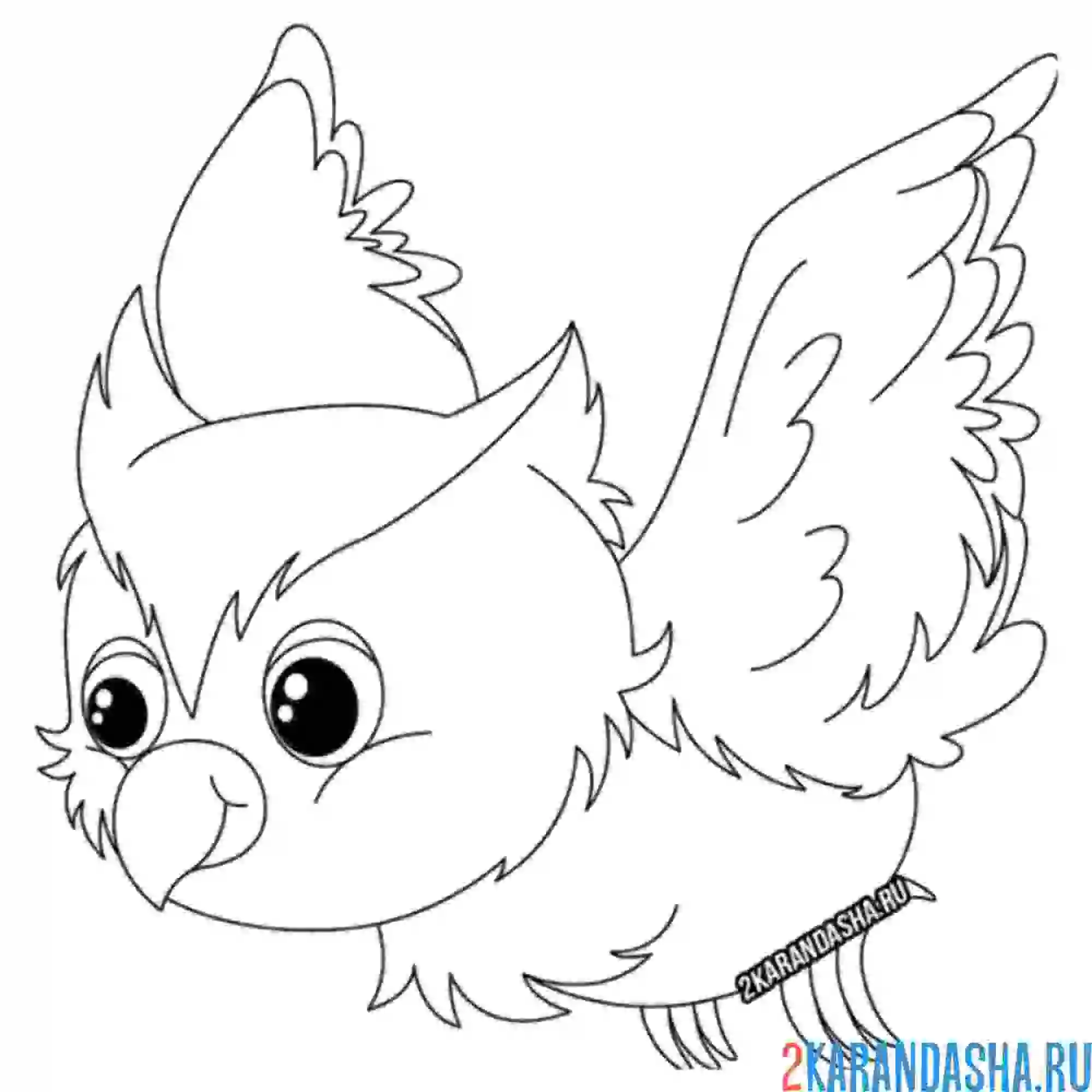 Раскраска филин летит