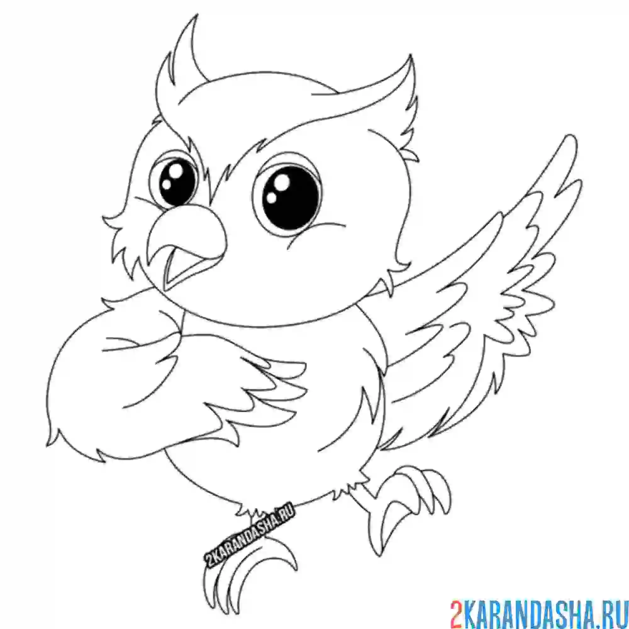 Раскраска сова танцует