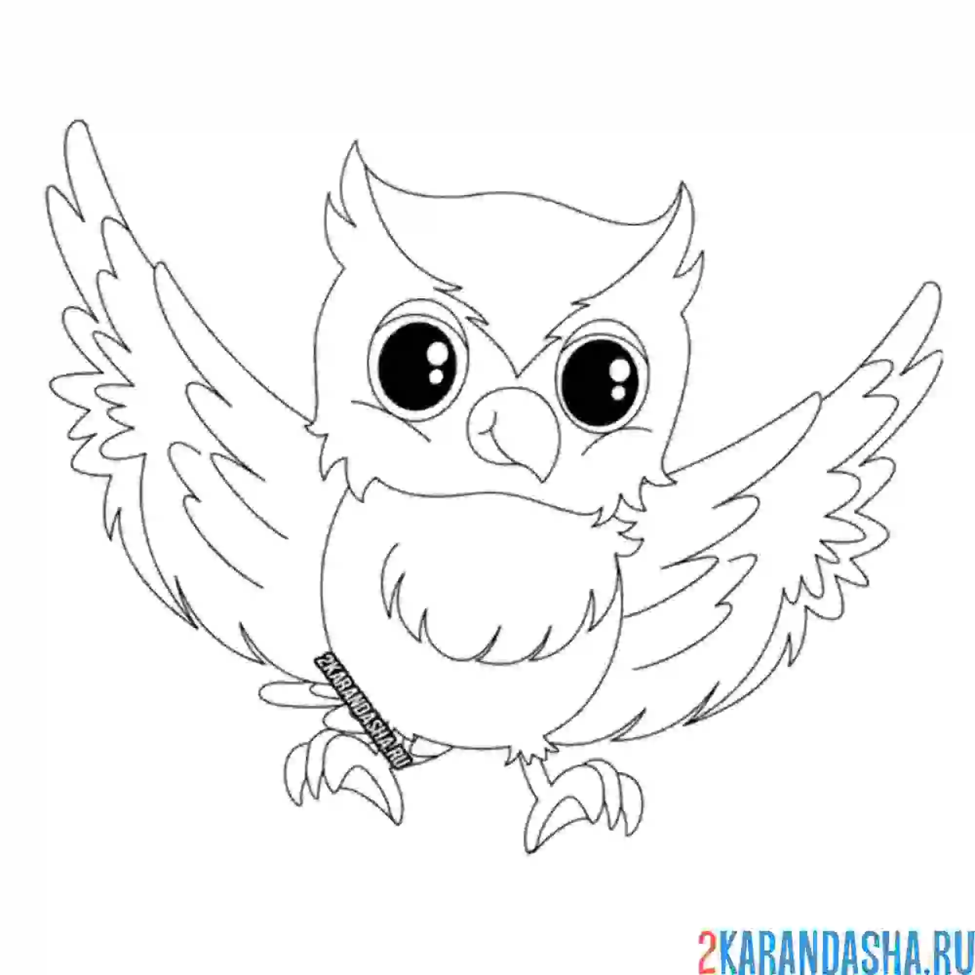 Раскраска сова летит