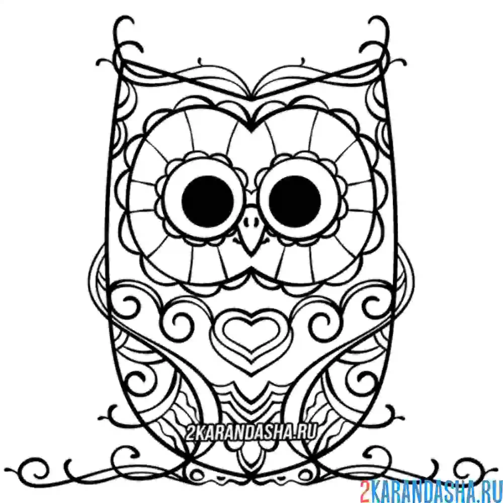 Раскраска совушка-узоры
