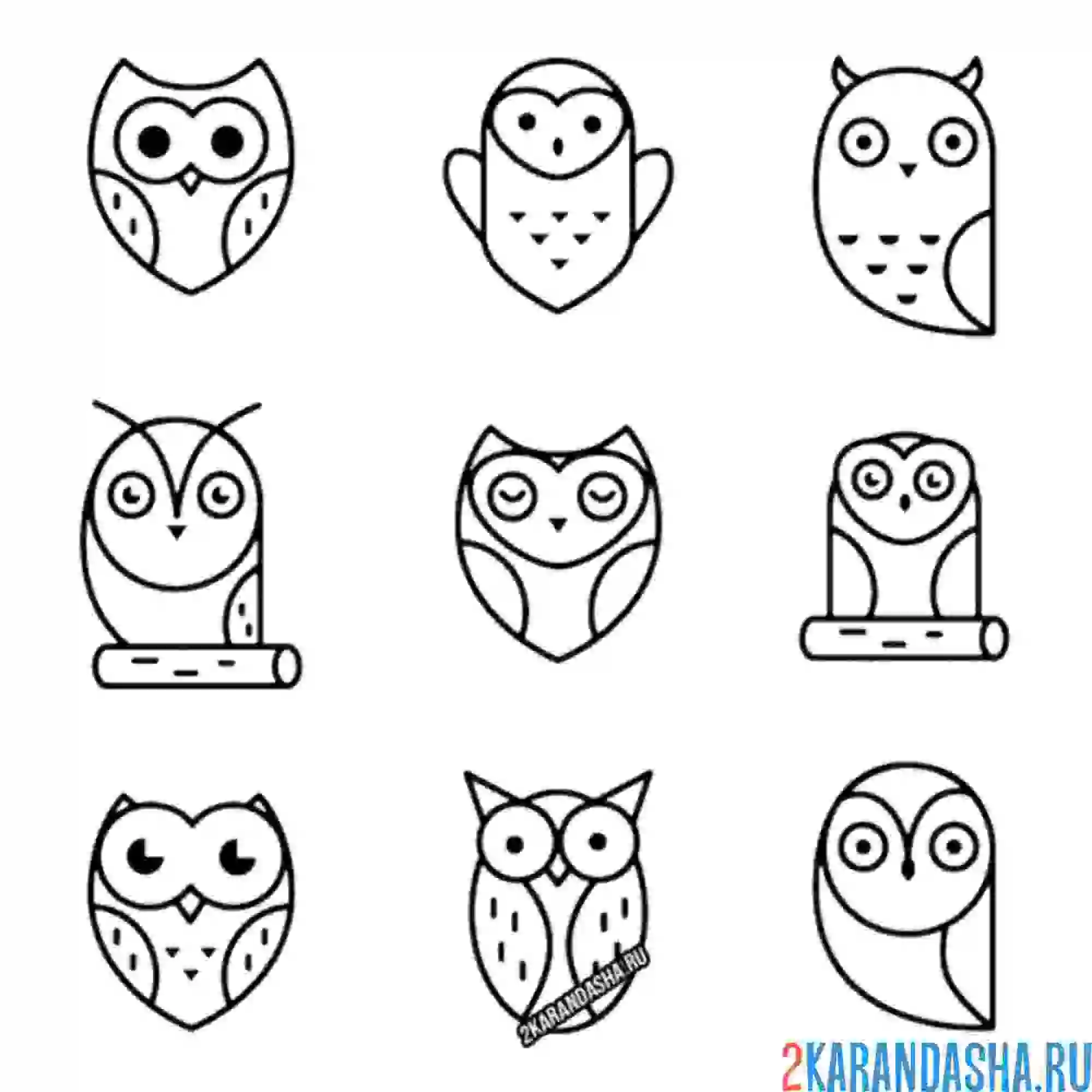 Раскраска смешные совы