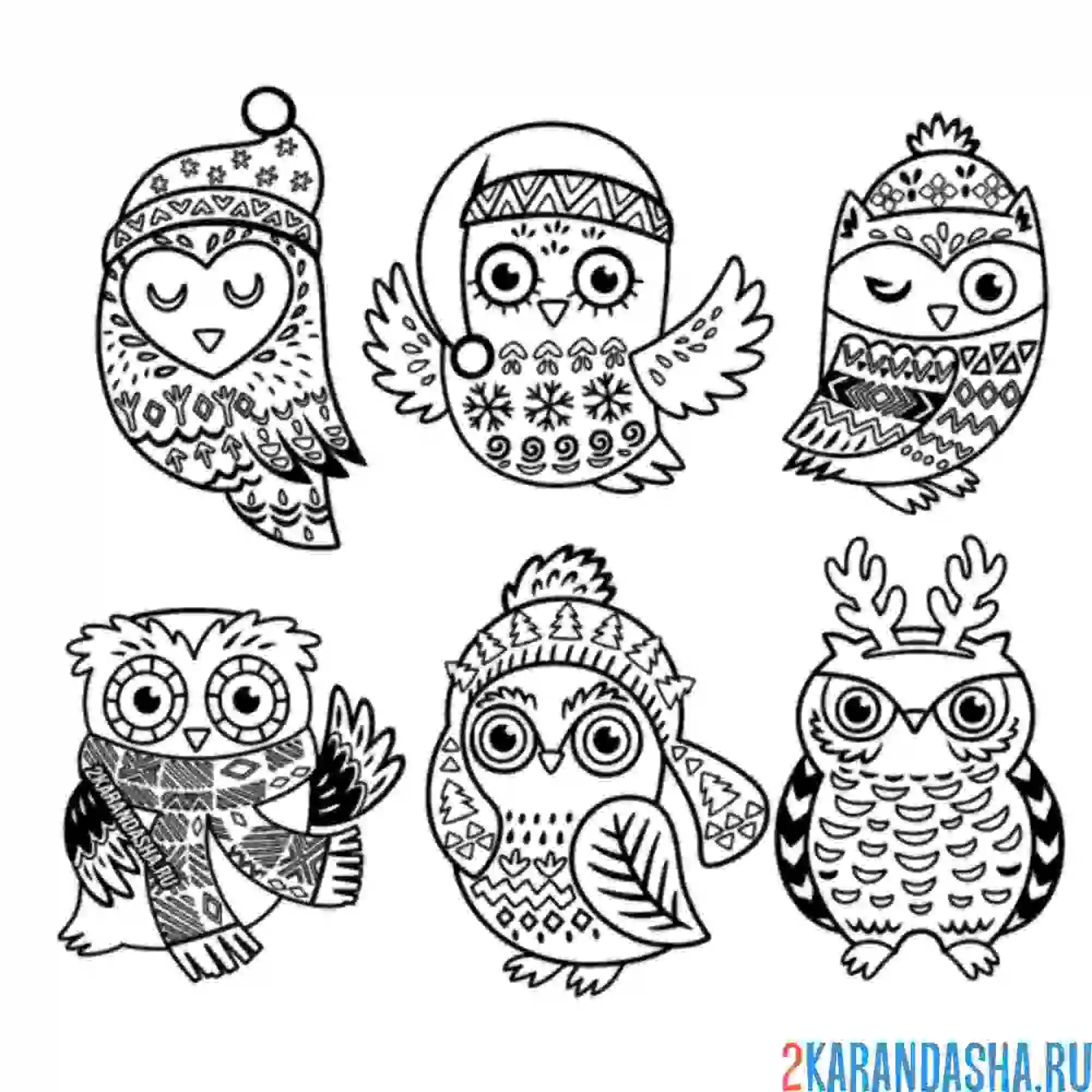 Раскраска красивые совята