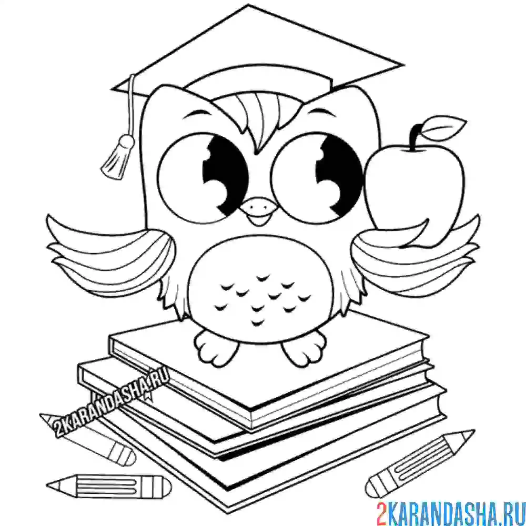 Раскраска сова студент