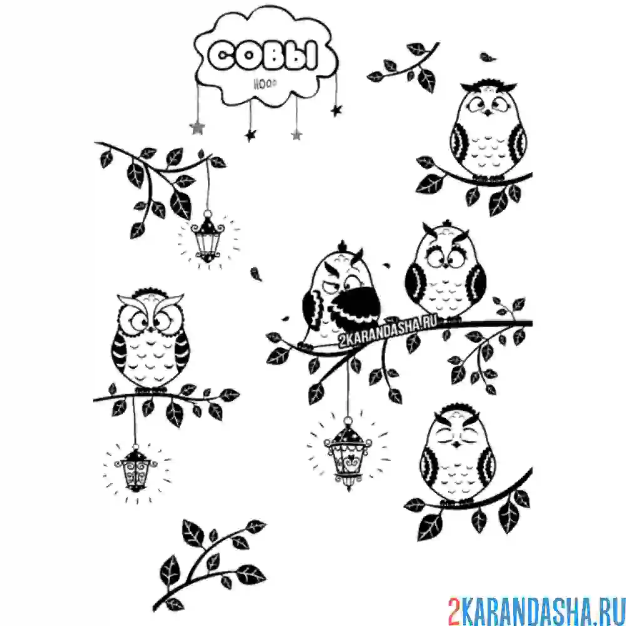 Раскраска совы в лесу