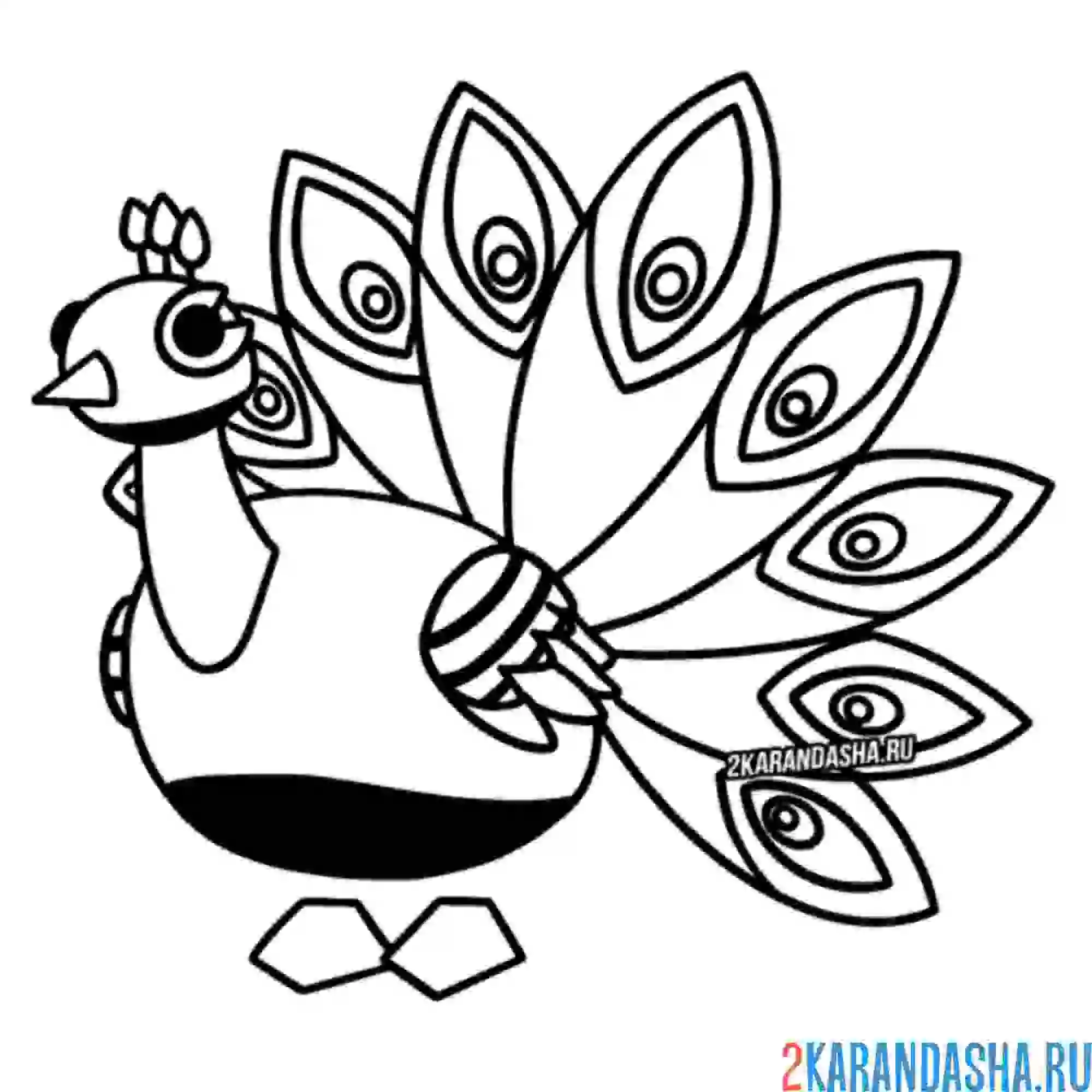 Раскраска павлин