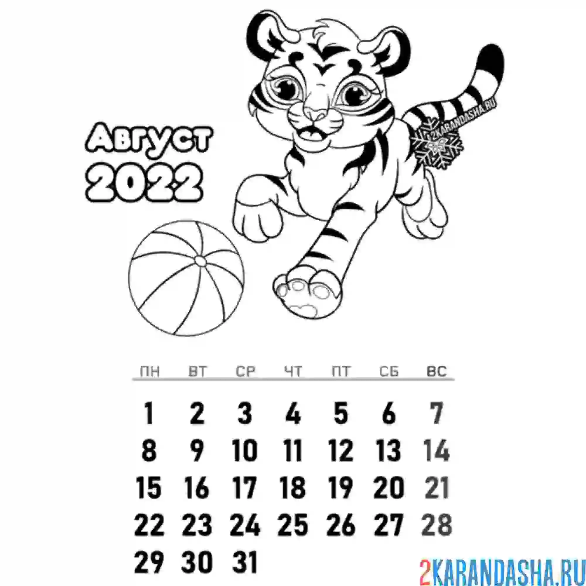Раскраска календарь август 2022 год тигра