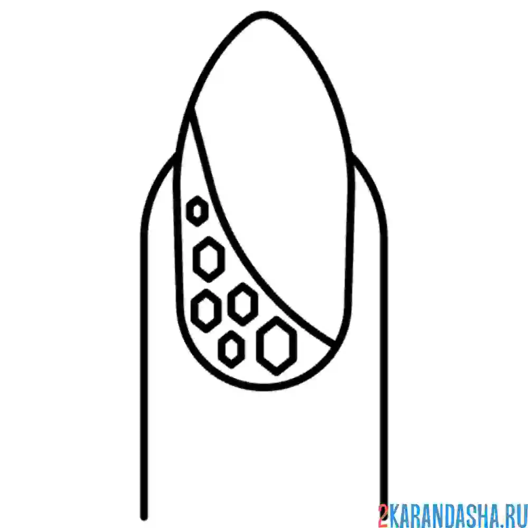 Раскраска красивый рисунок на ногте