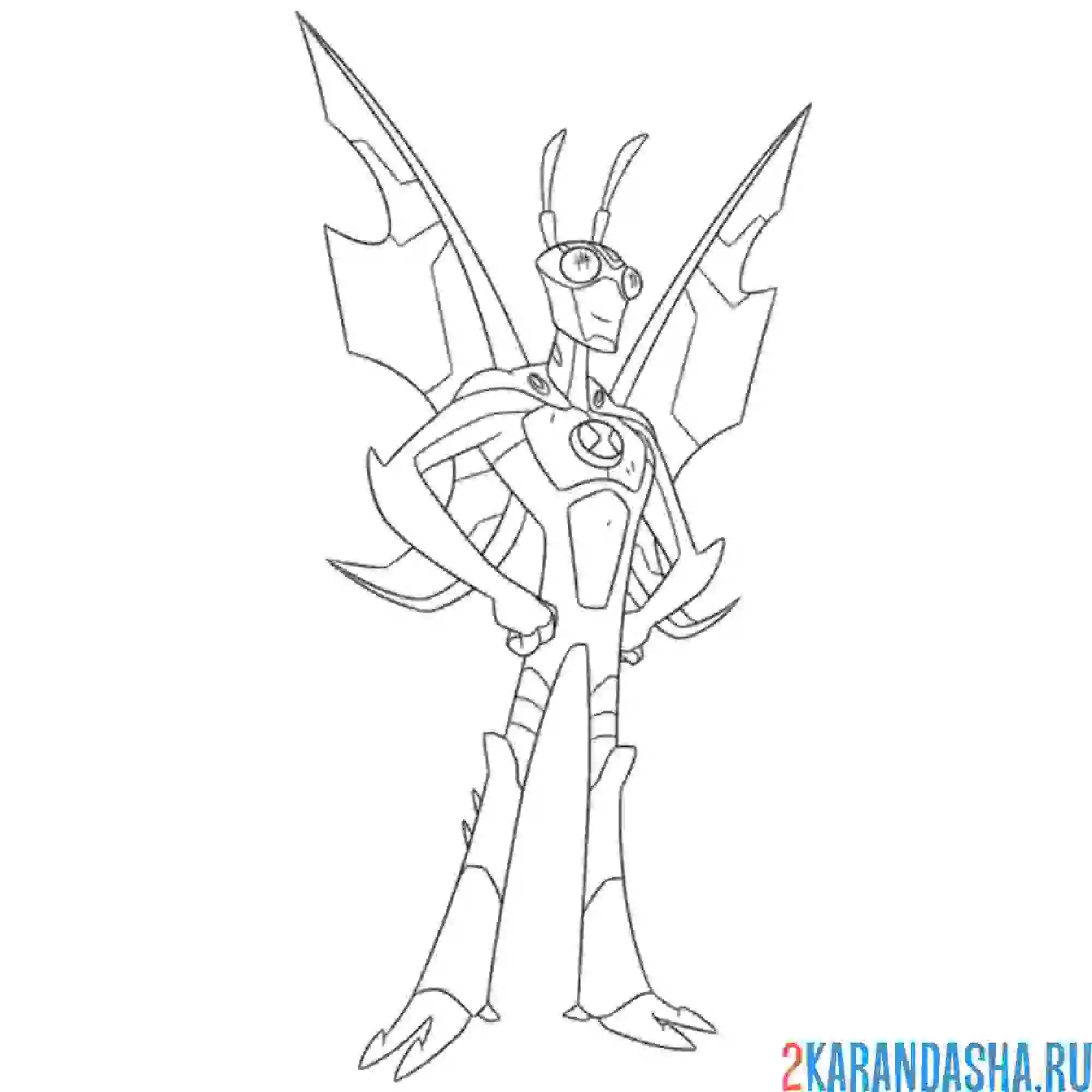 Раскраска лепидоптеран жук бен тен