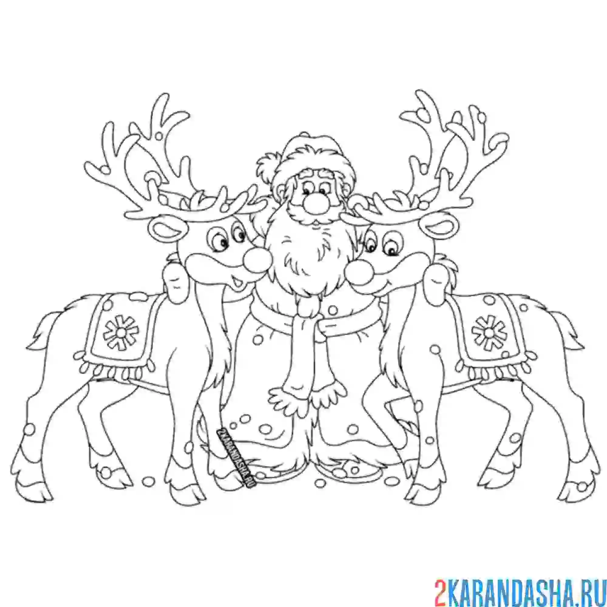 Раскраска дед мороз и два новогодних оленя