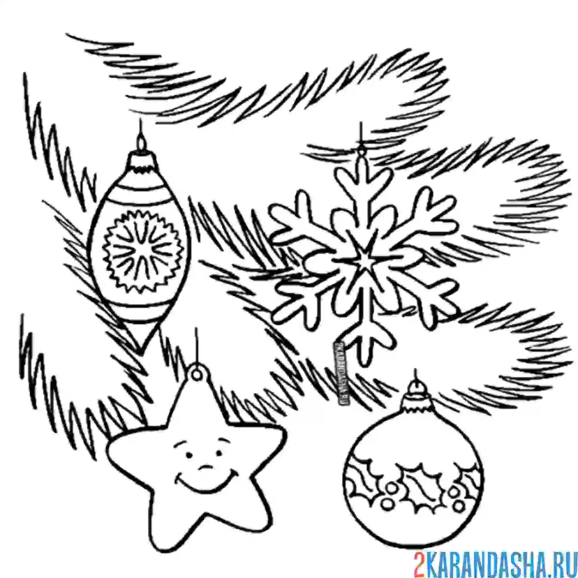 Раскраска еловая ветка новогодней елки