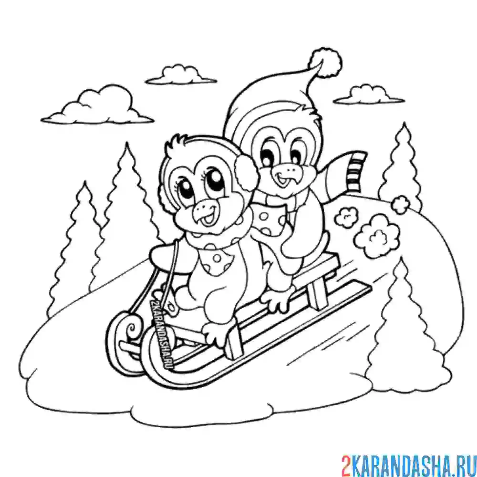 Раскраска пингвины на санках