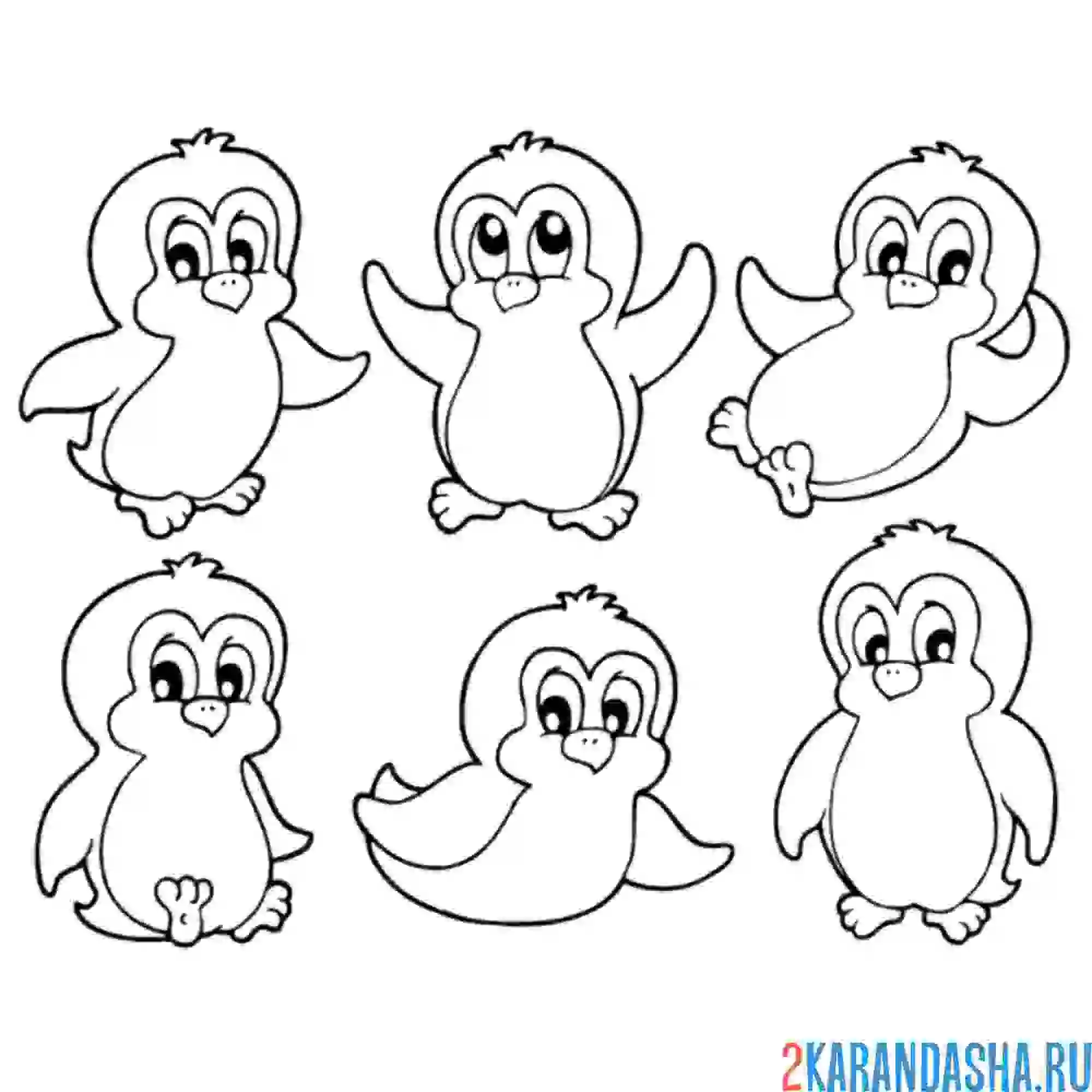 Раскраска шесть пингвинов