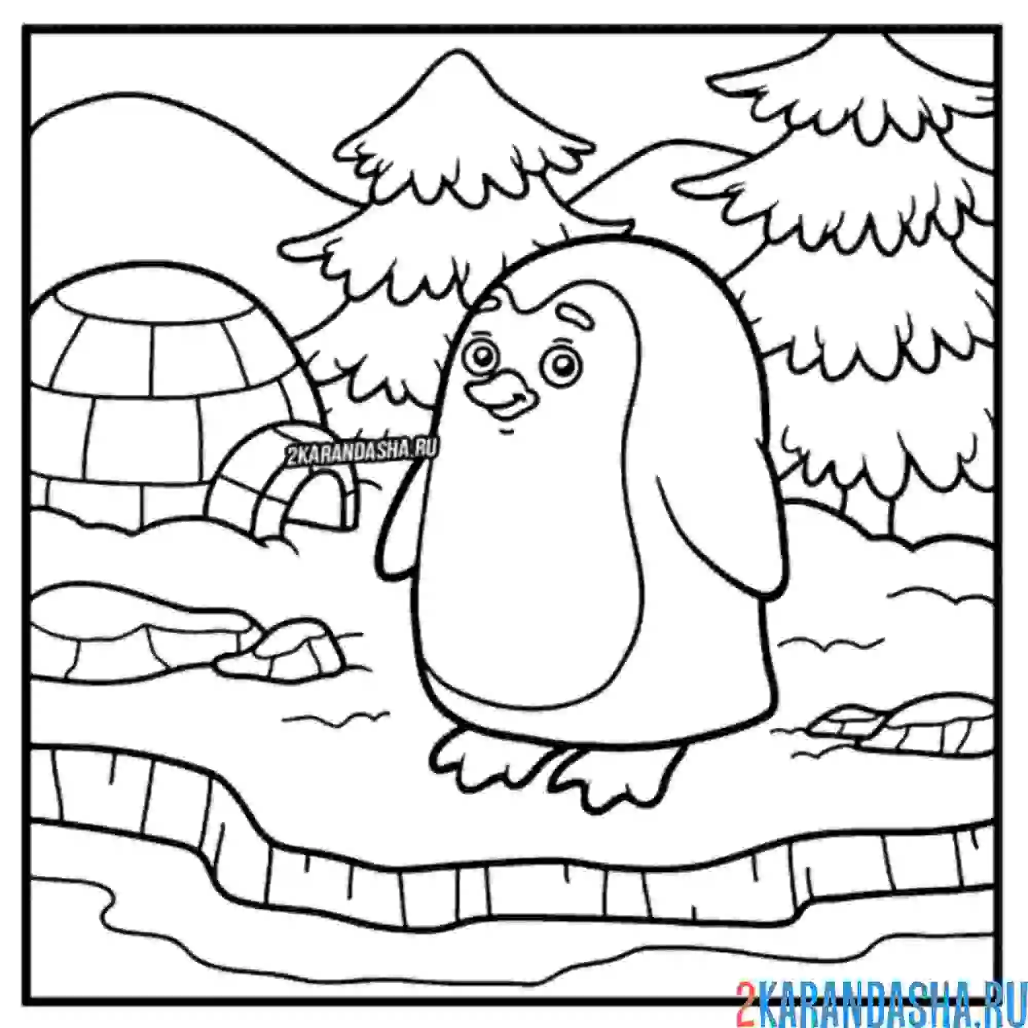 Раскраска пингвин в своем доме