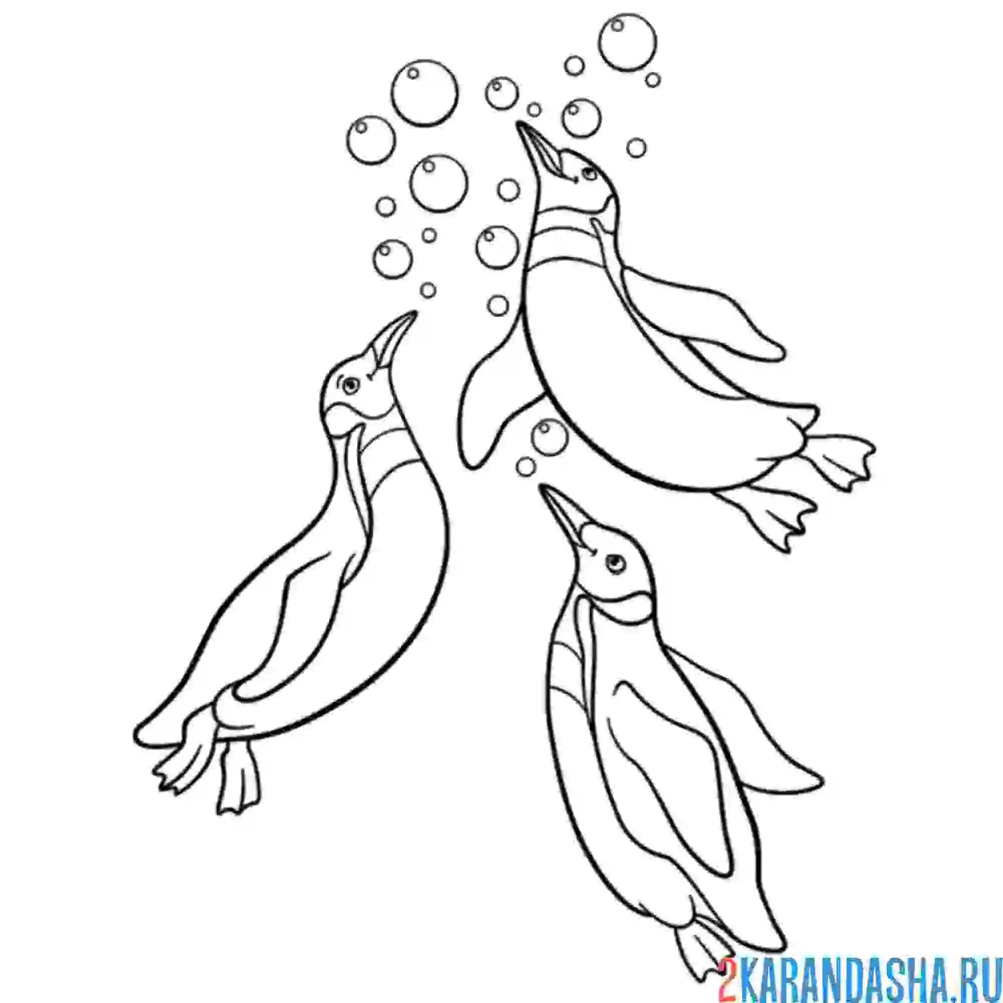 Раскраска пингвины ныряют