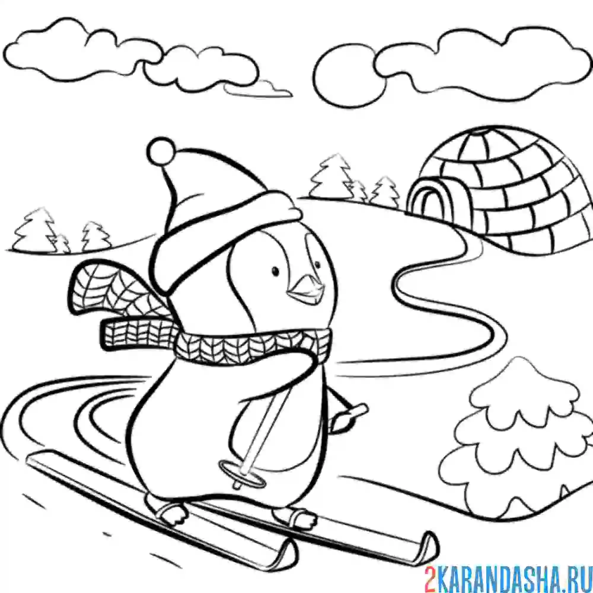 Раскраска пингвин лыжник