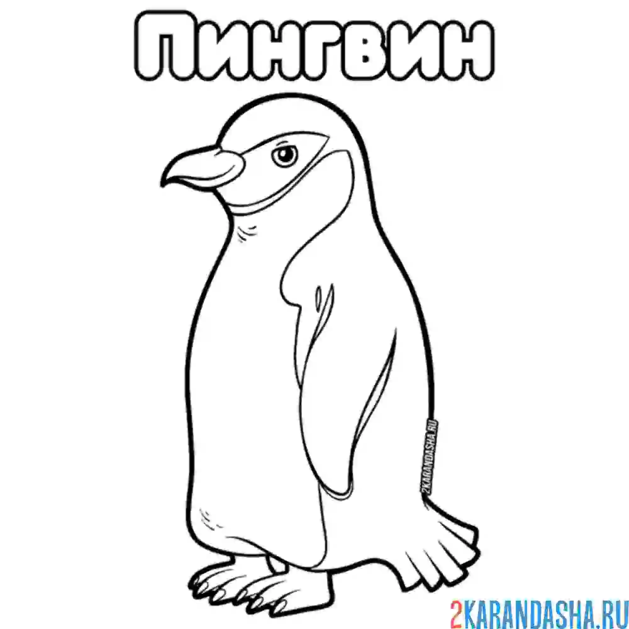 Раскраска пингвин забавный