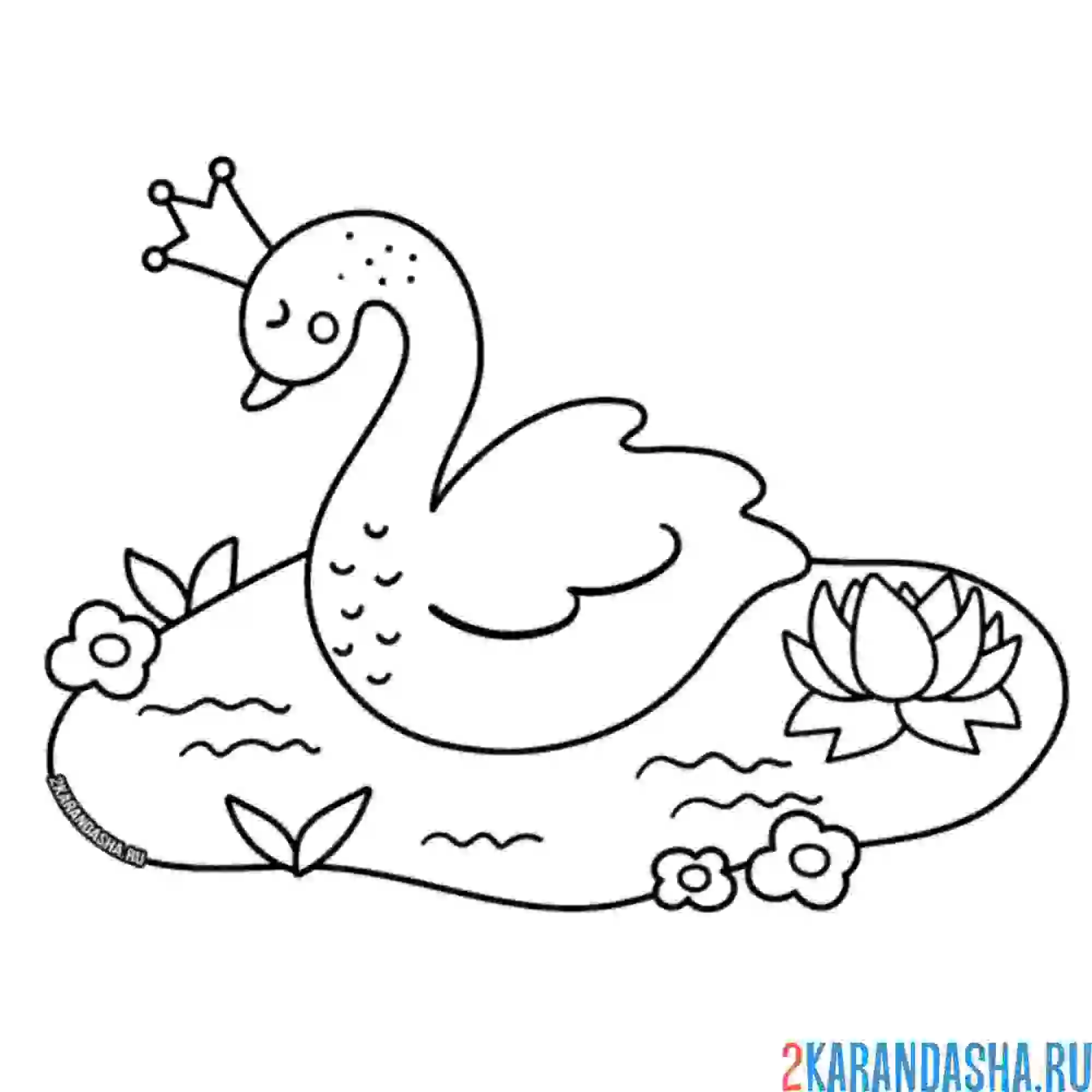 Раскраска красивые лебедь в короне