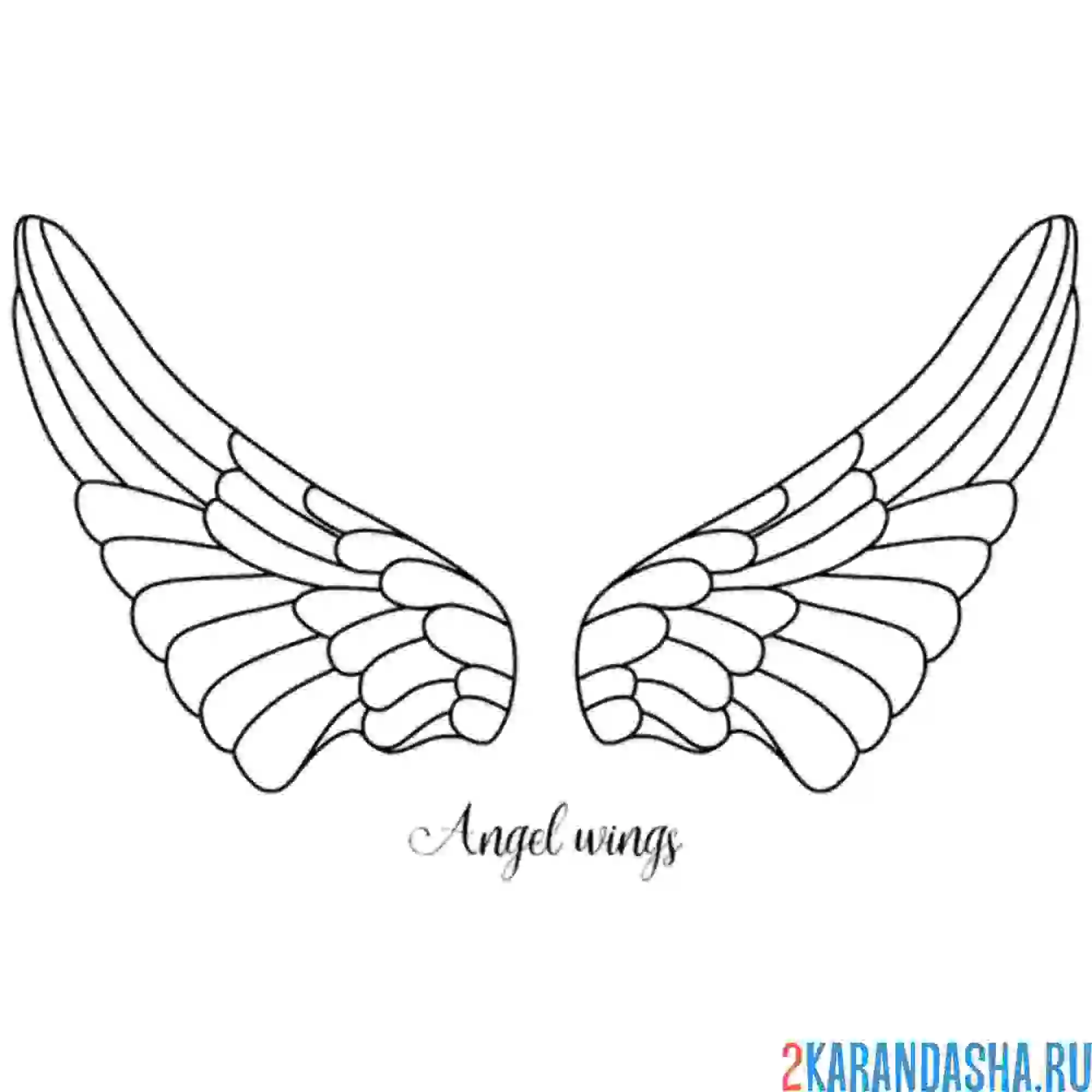 Раскраска крылья ангела