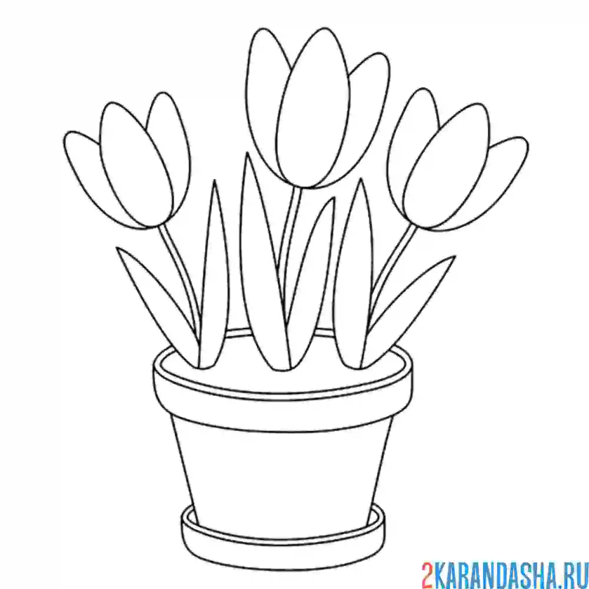 Раскраска три тюльпана в горшке