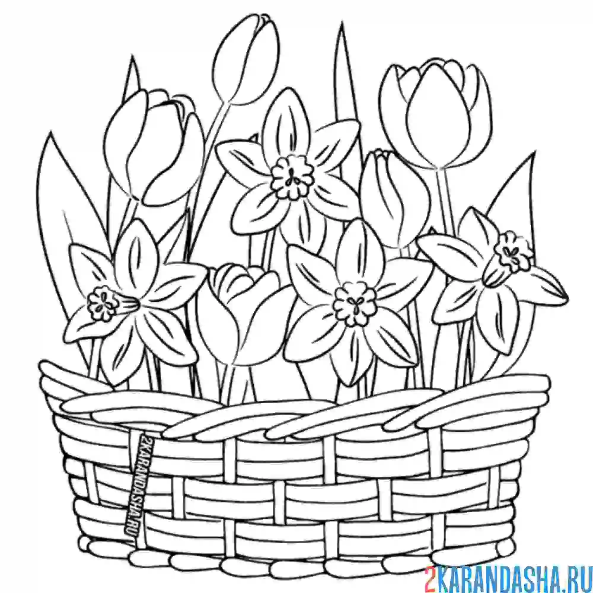 Раскраска корзинка с цветами и тюльпаны