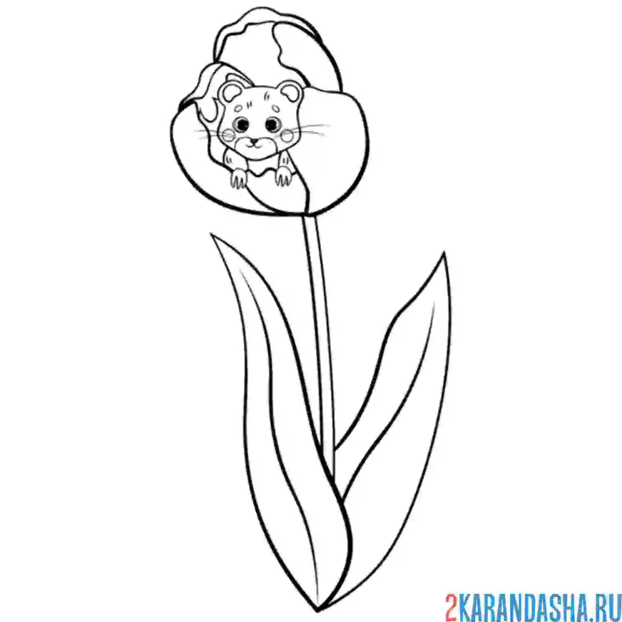 Раскраска в тюльпане мышонок