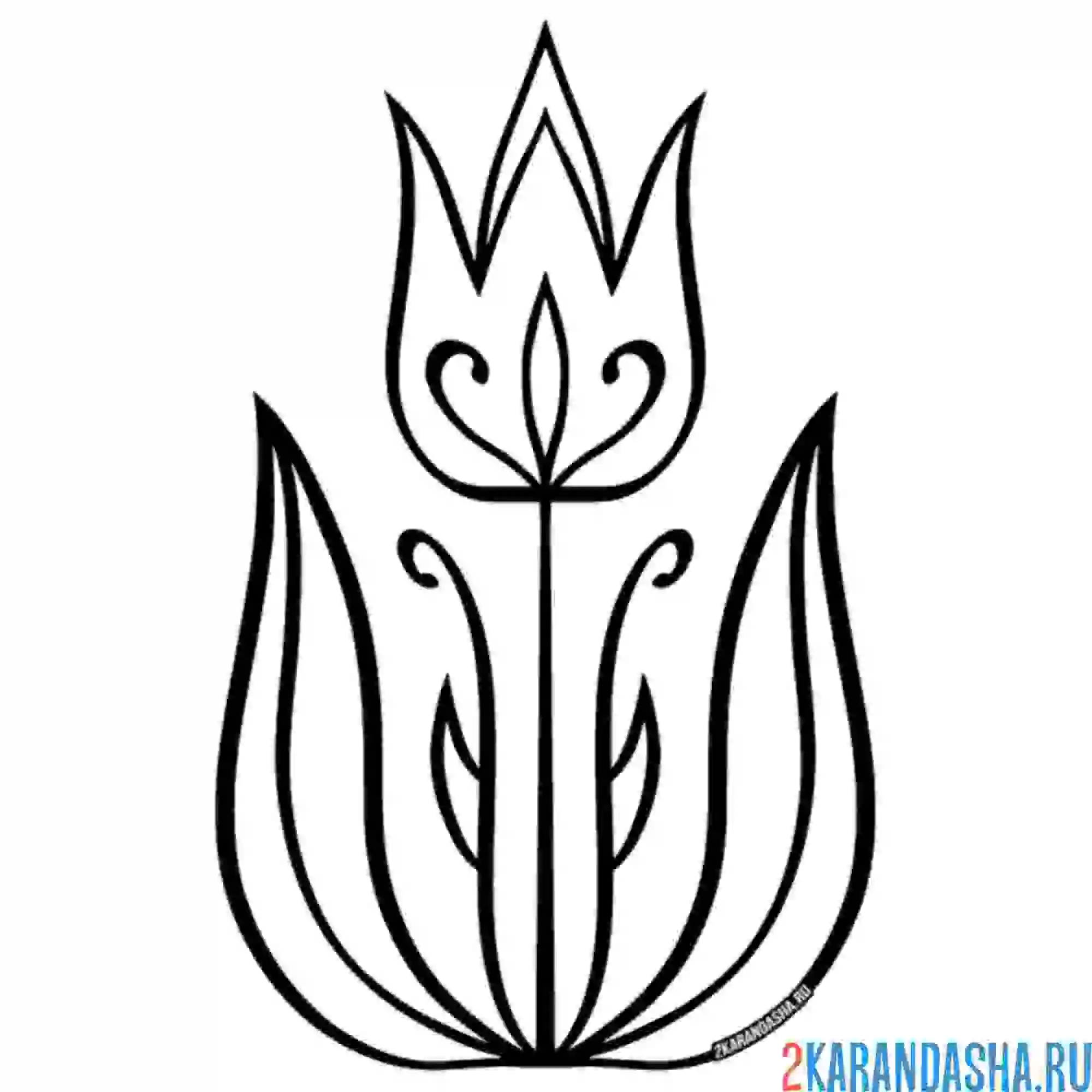 Раскраска тюльпан для принцессы